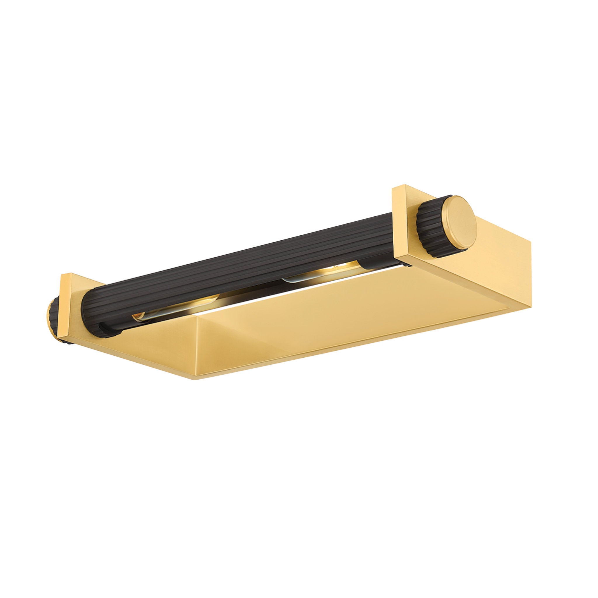 Judd 2-Light Picture Light in Aged Brass 18.5W x 2.5H (1319-AGB/DB)