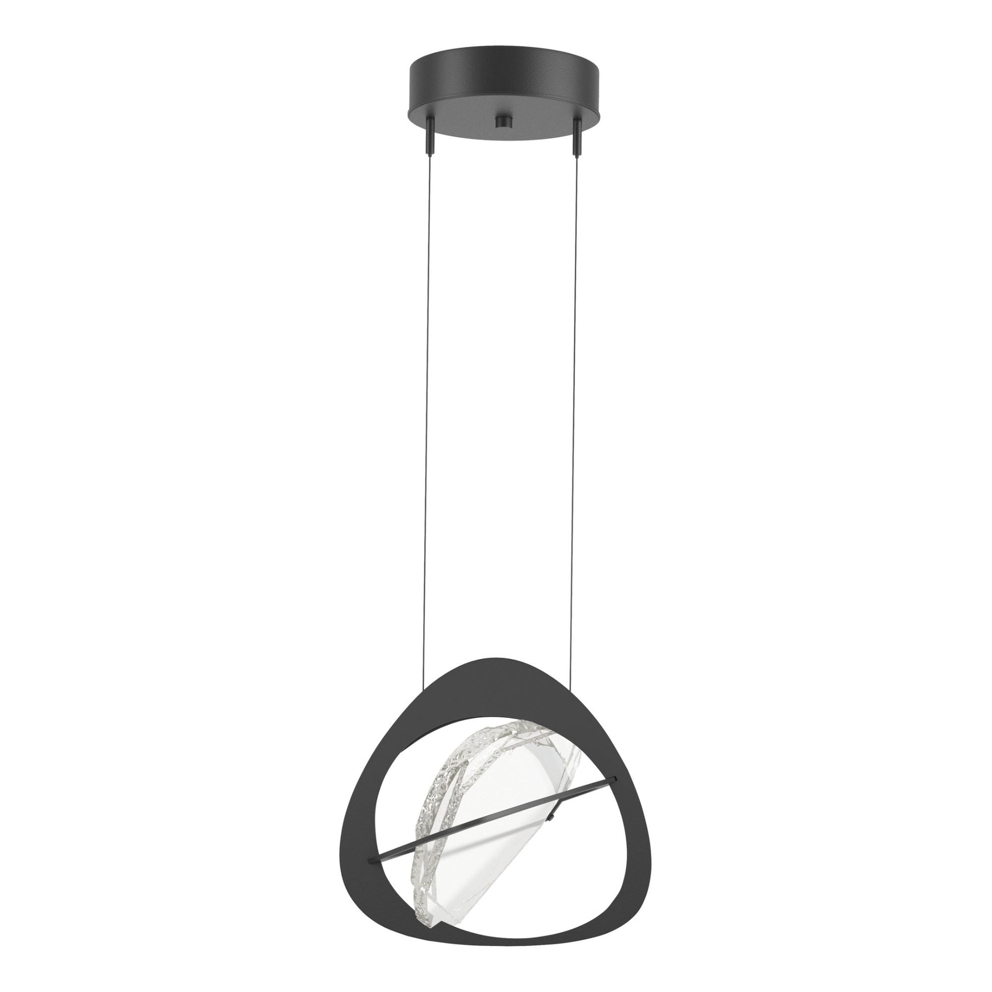 Venn Pendant LED Clear Glass (ZM) in Black