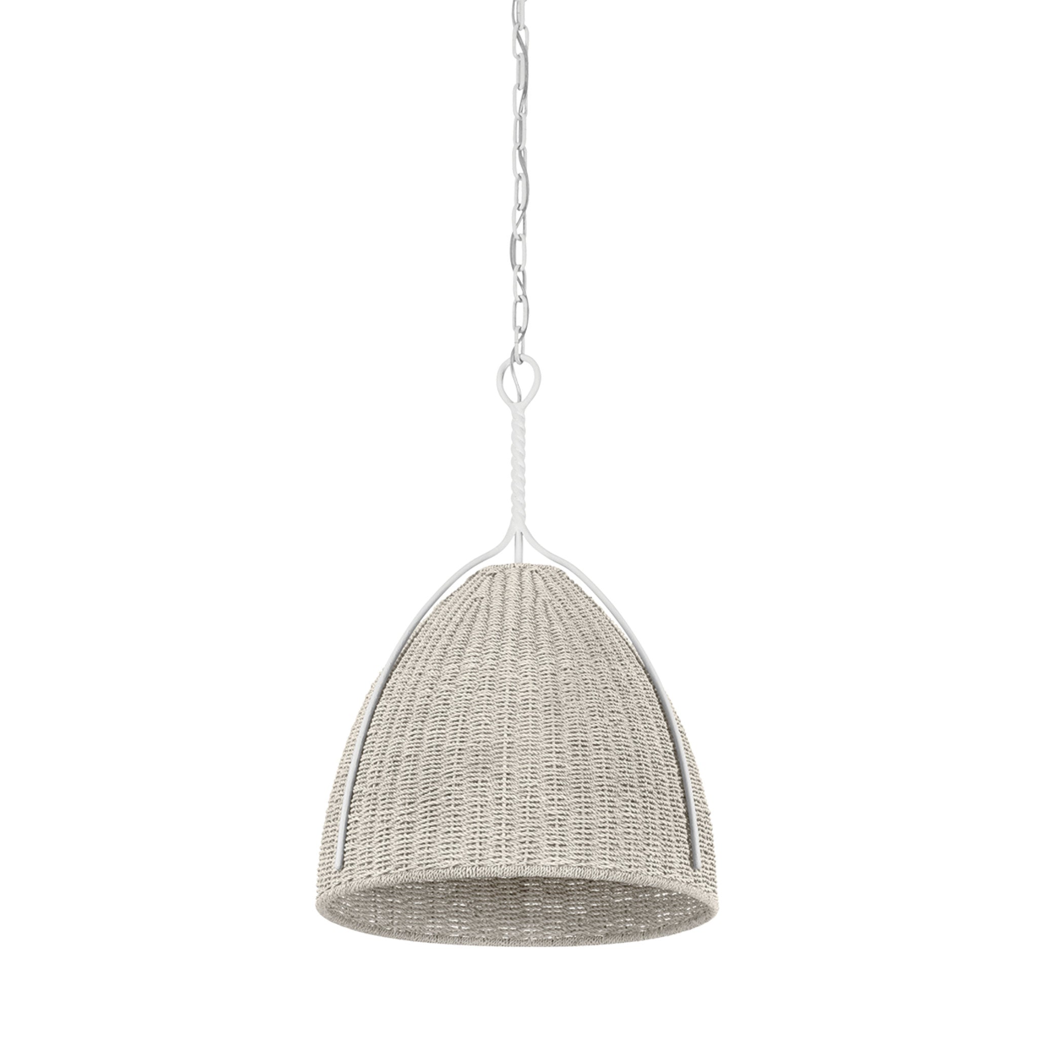 Woodlawn 1-Light Pendant in White Plaster 19W x 26.5H