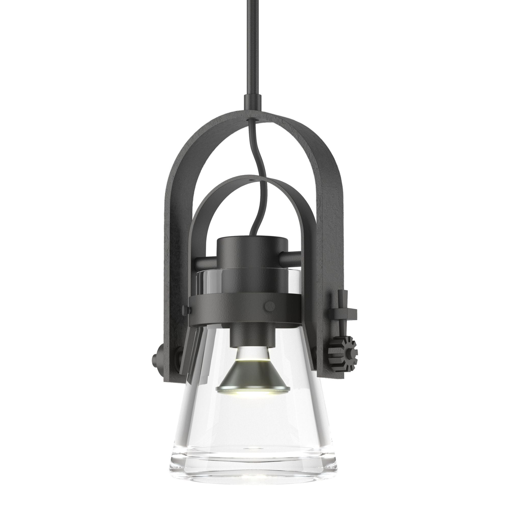 Erlenmeyer Large Mini Pendant 1-Light Clear Glass (ZM) in Black