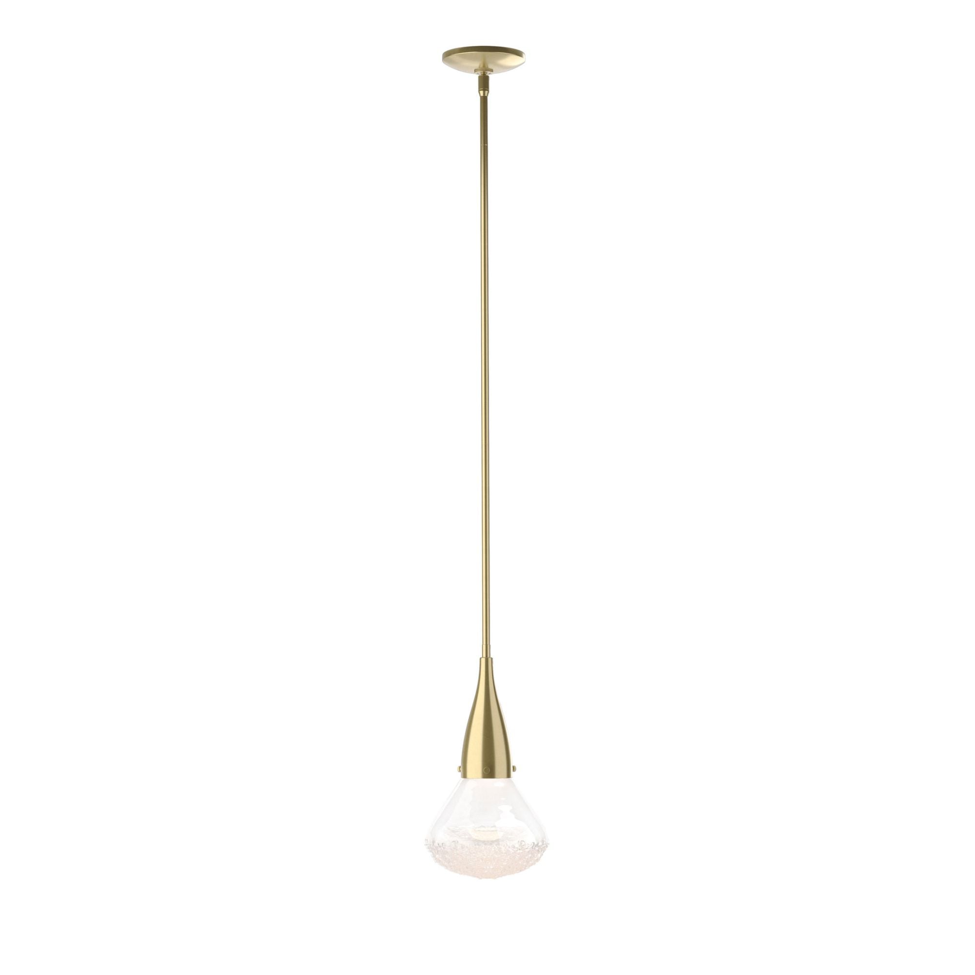 Fritz Large Pendant 1-Light Clear Glass (ZM) in Modern Brass