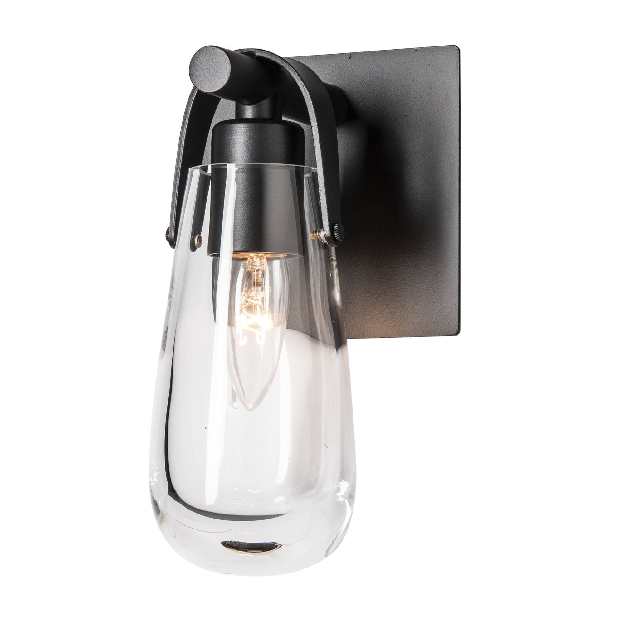 Eos 1-Light Bath Sconce 1-Light Clear Glass (ZM) in Black