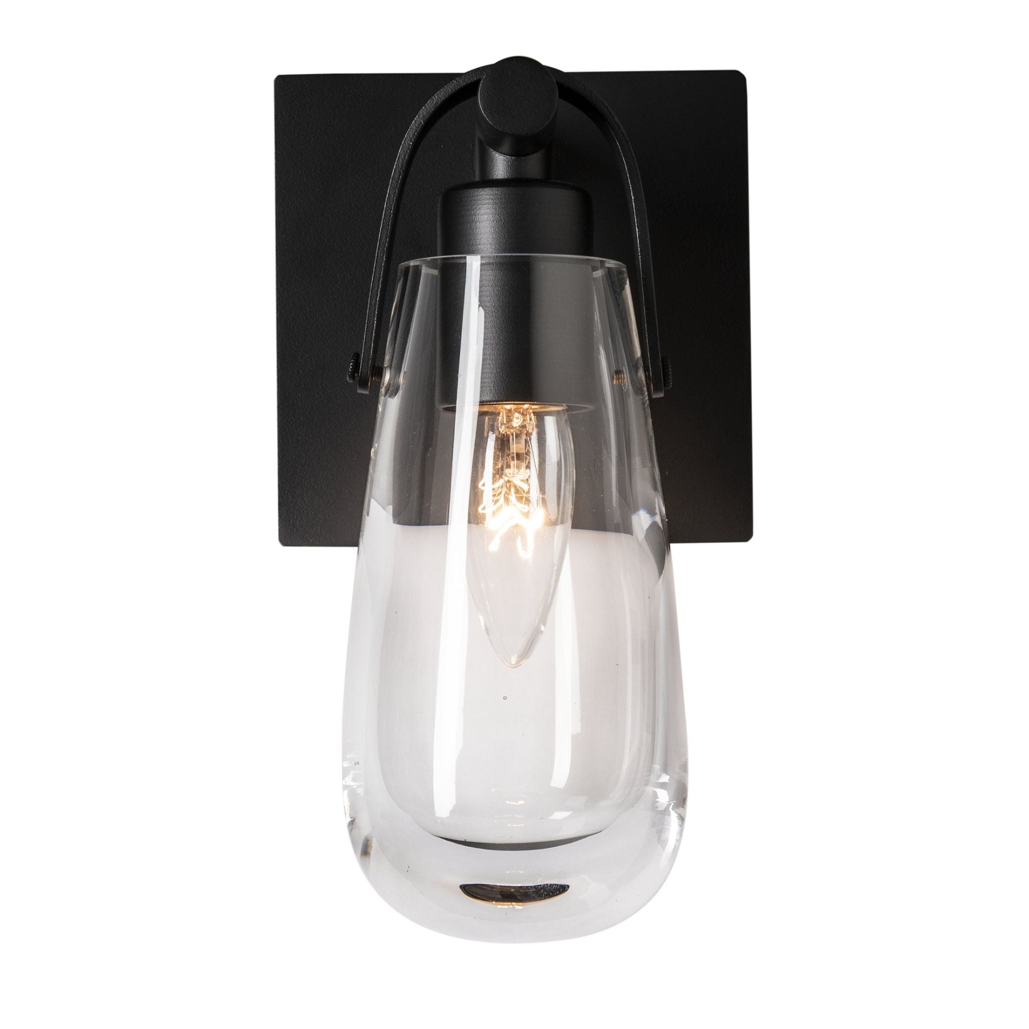 Eos 1-Light Bath Sconce 1-Light Clear Glass (ZM) in Black