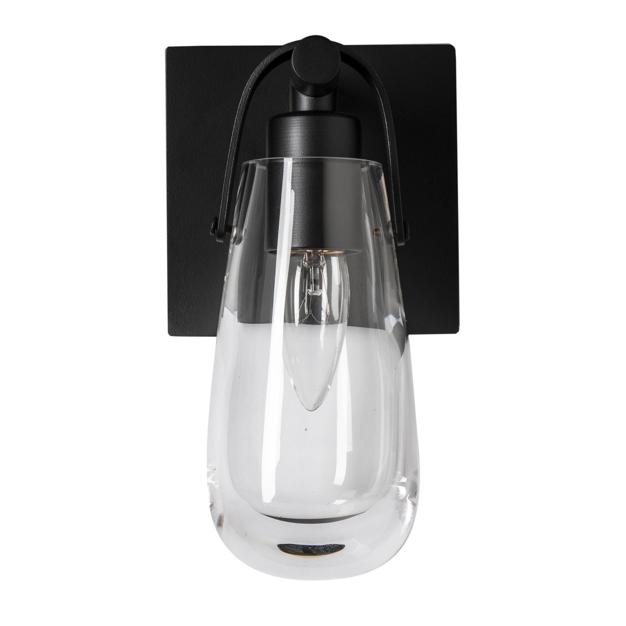 Eos 1-Light Bath Sconce 1-Light Clear Glass (ZM) in Black