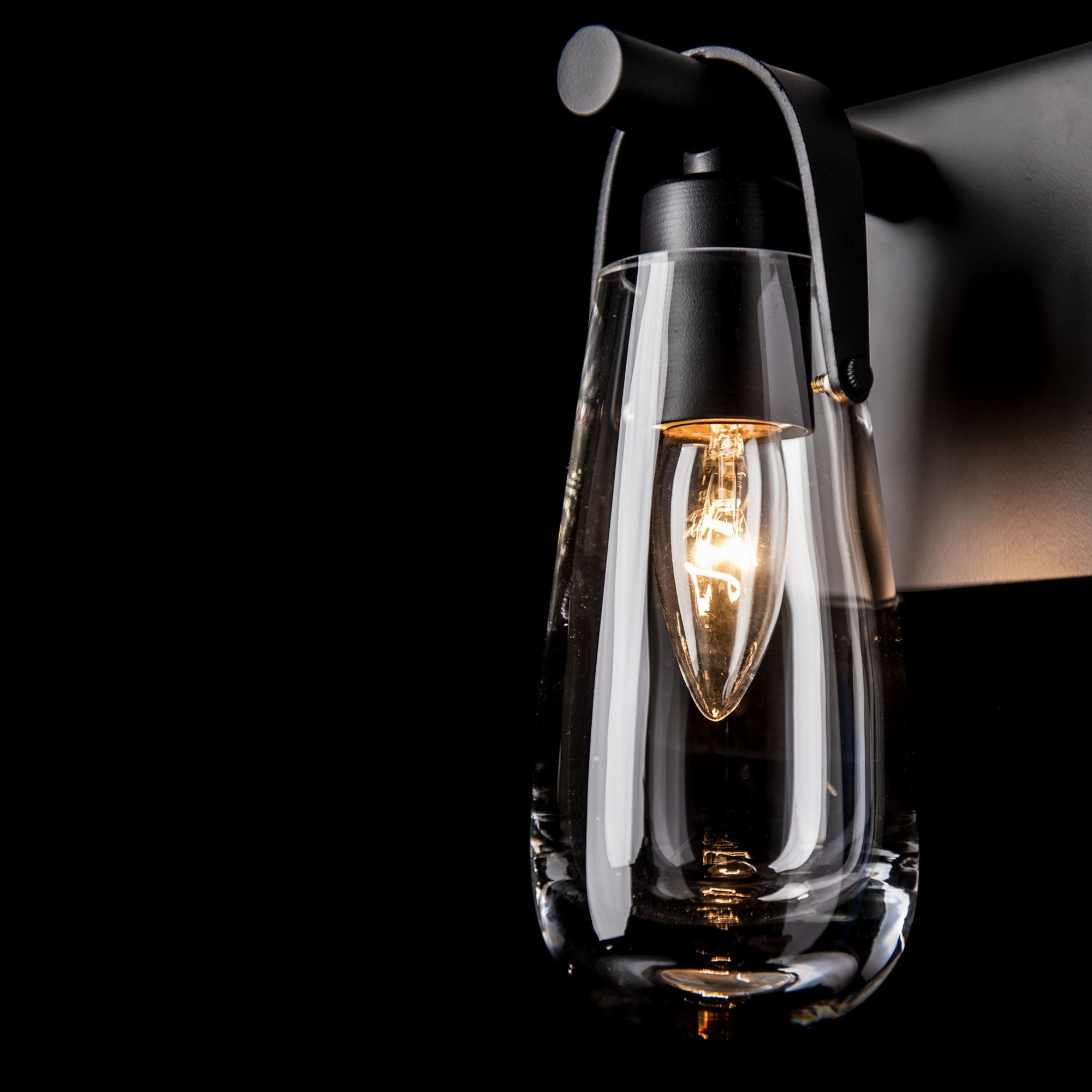 Eos 1-Light Bath Sconce 1-Light Clear Glass (ZM) in Black