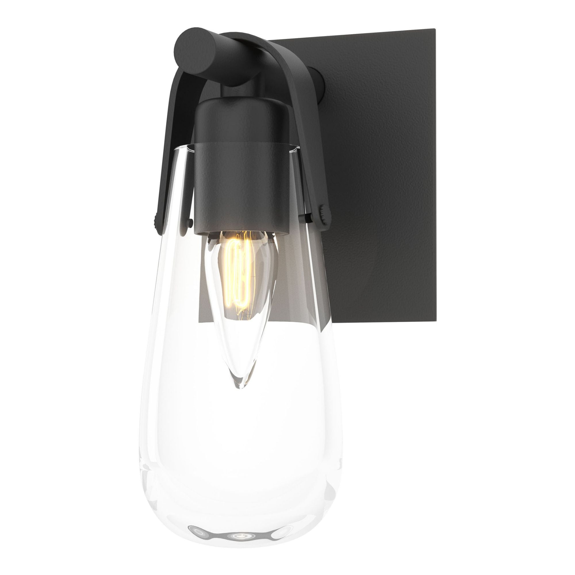 Eos 1-Light Bath Sconce 1-Light Clear Glass (ZM) in Black