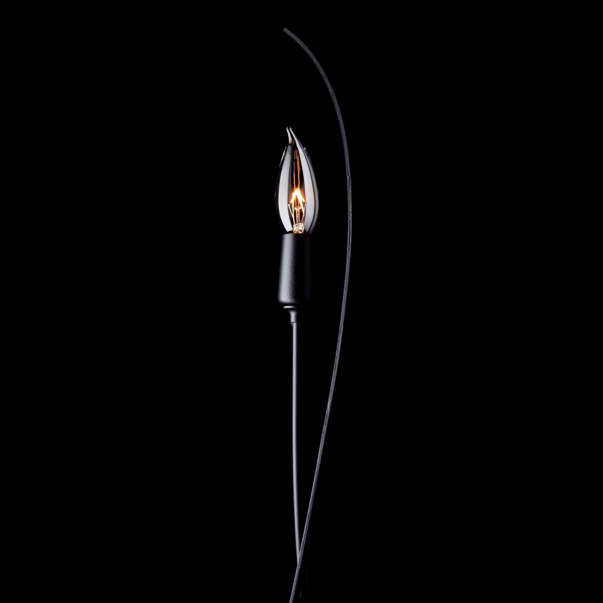 Willow Sconce 1-Light in Black