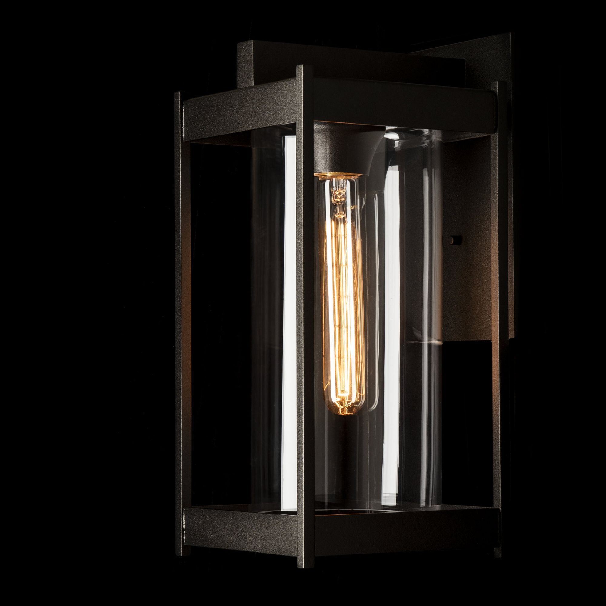 Cela Clear Glass Medium Outdoor Sconce 1-Light Clear Glass (ZM) in Coastal Oil Rubbed Bronze