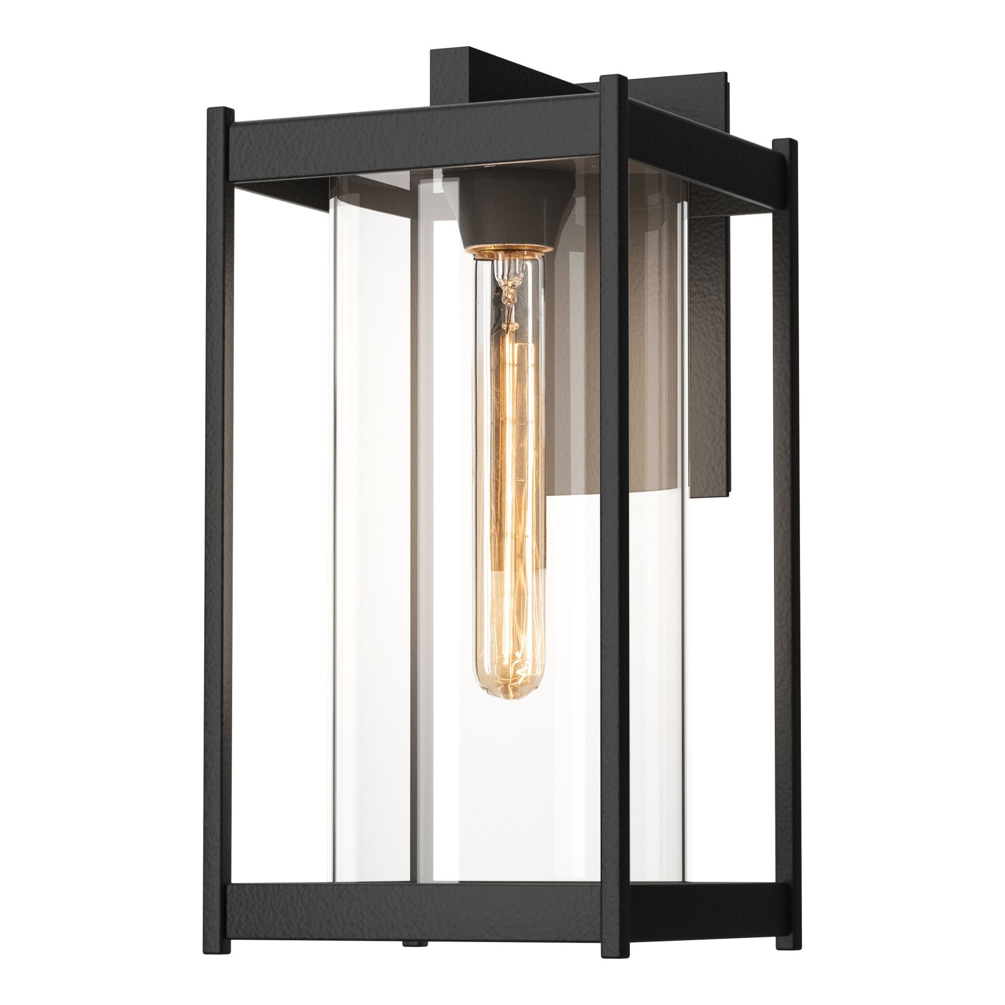 Cela Clear Glass Large Outdoor Sconce 1-Light Clear Glass (ZM) in Coastal Black