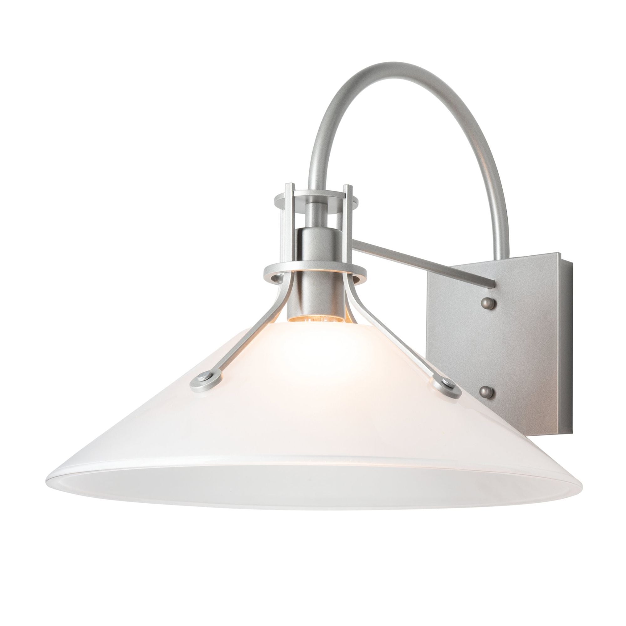 Henry Large Glass Shade Outdoor Sconce 1-Light Frosted Glass (FD) in Coastal Burnished Steel