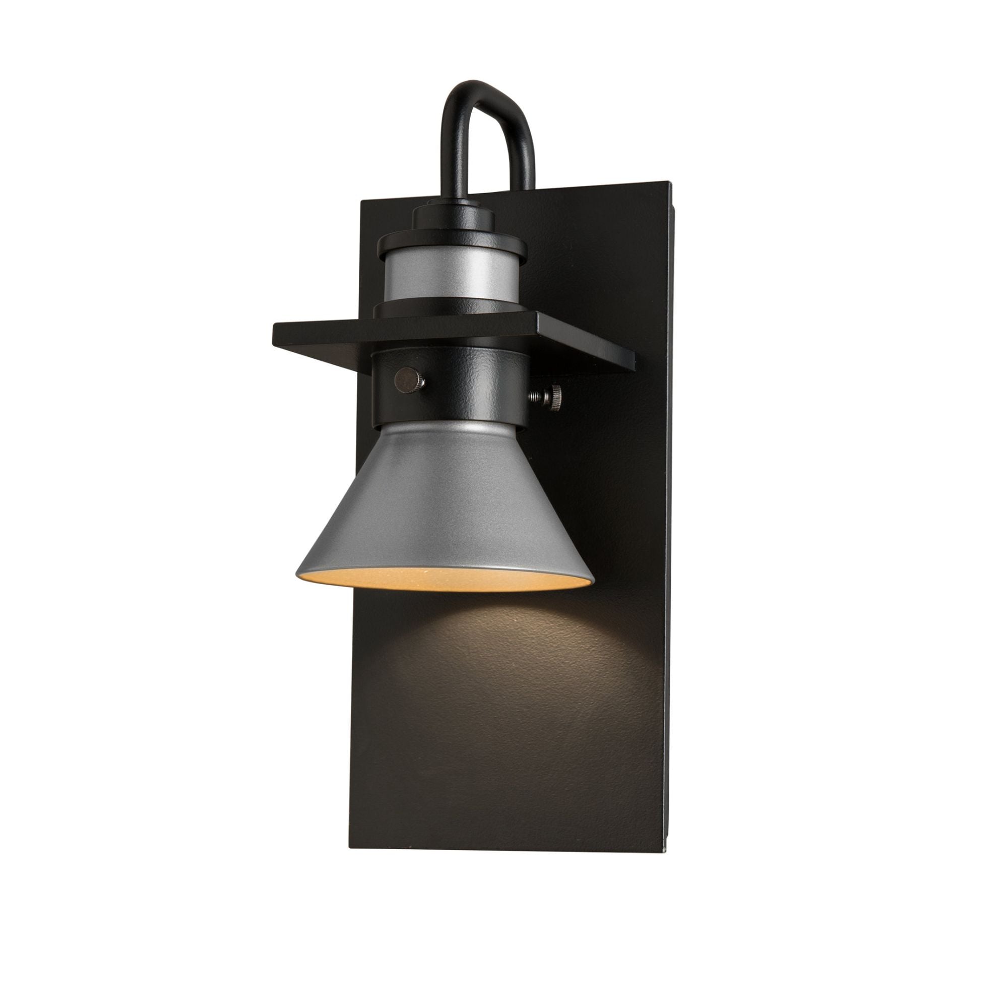 Erlenmeyer Dark Sky Friendly Outdoor Sconce 1-Light Coastal Burnished Steel Accent in Coastal Black