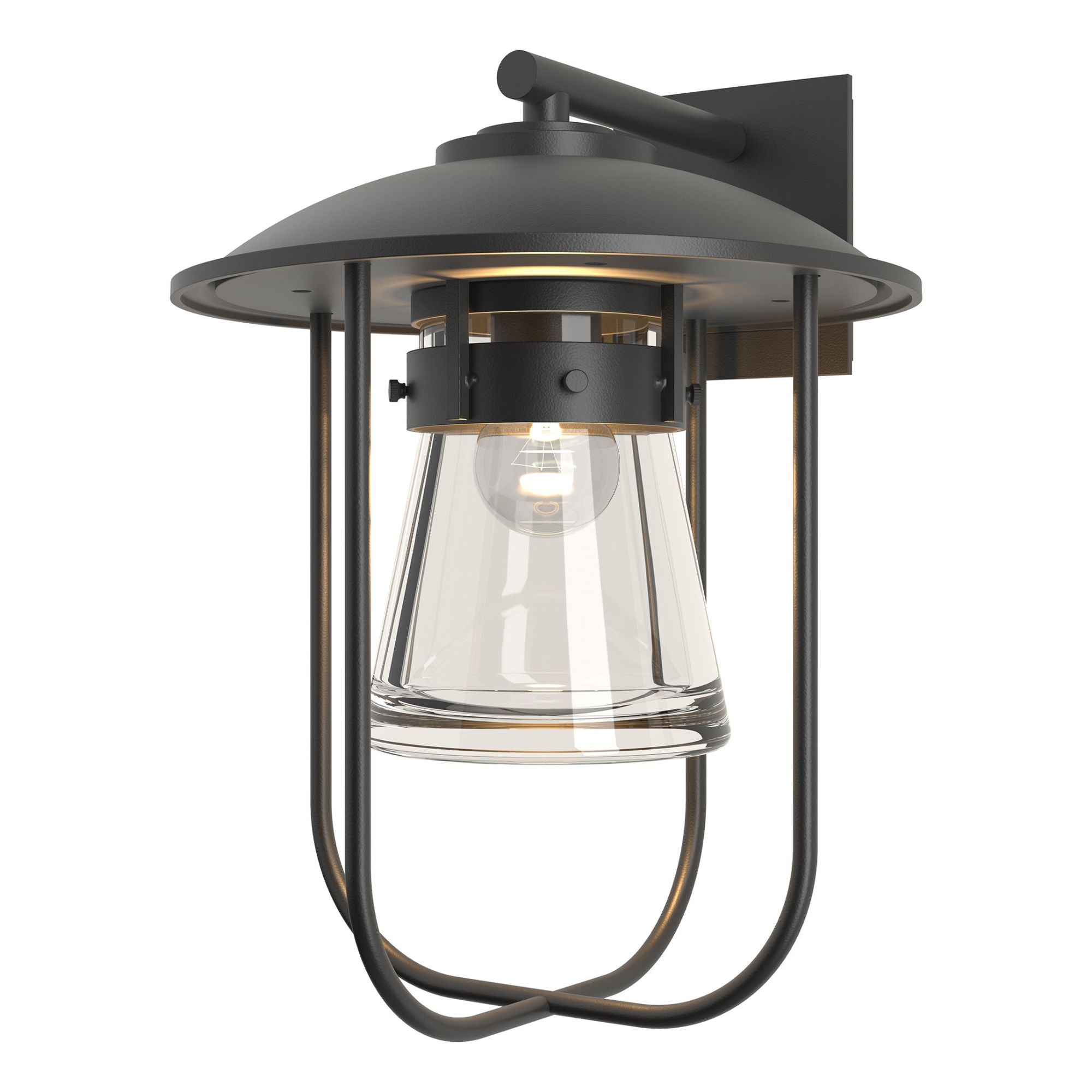 Erlenmeyer Large Outdoor Sconce 1-Light Clear Glass (ZM) in Coastal Black