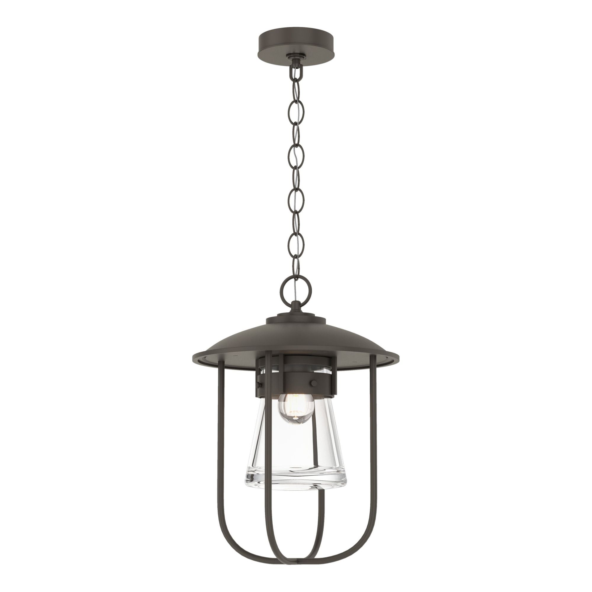 Erlenmeyer Outdoor Pendant 1-Light Clear Glass (ZM) in Coastal Dark Smoke
