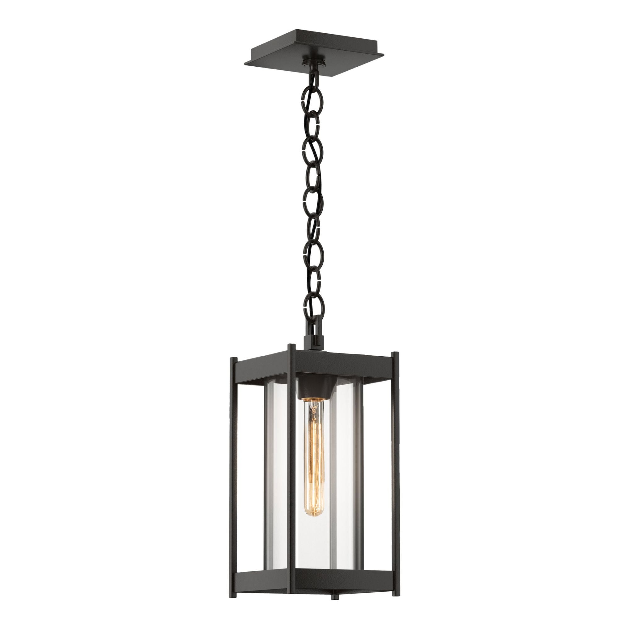 Cela Medium Outdoor Lantern 1-Light Clear Glass (ZM) in Coastal Oil Rubbed Bronze