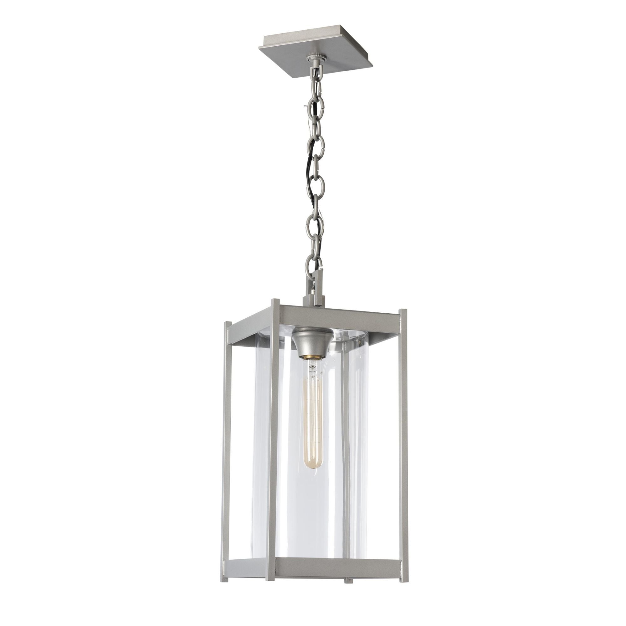 Cela Large Outdoor Lantern 1-Light Clear Glass (ZM) in Coastal Burnished Steel