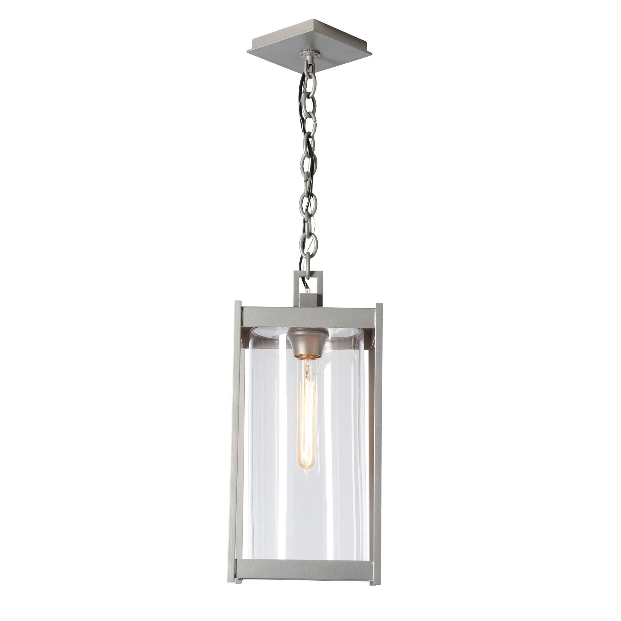 Cela Large Outdoor Lantern 1-Light Clear Glass (ZM) in Coastal Burnished Steel