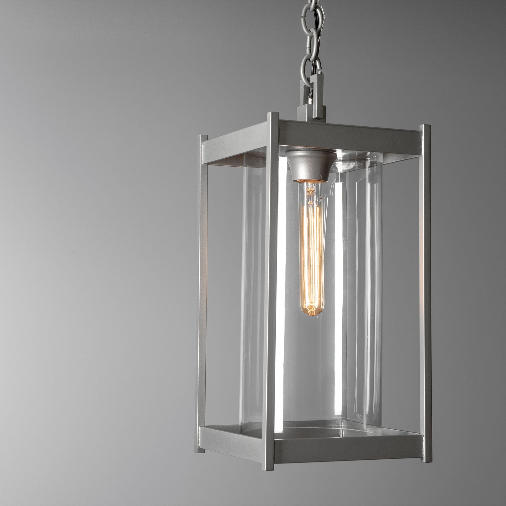 Cela Large Outdoor Lantern 1-Light Clear Glass (ZM) in Coastal Burnished Steel