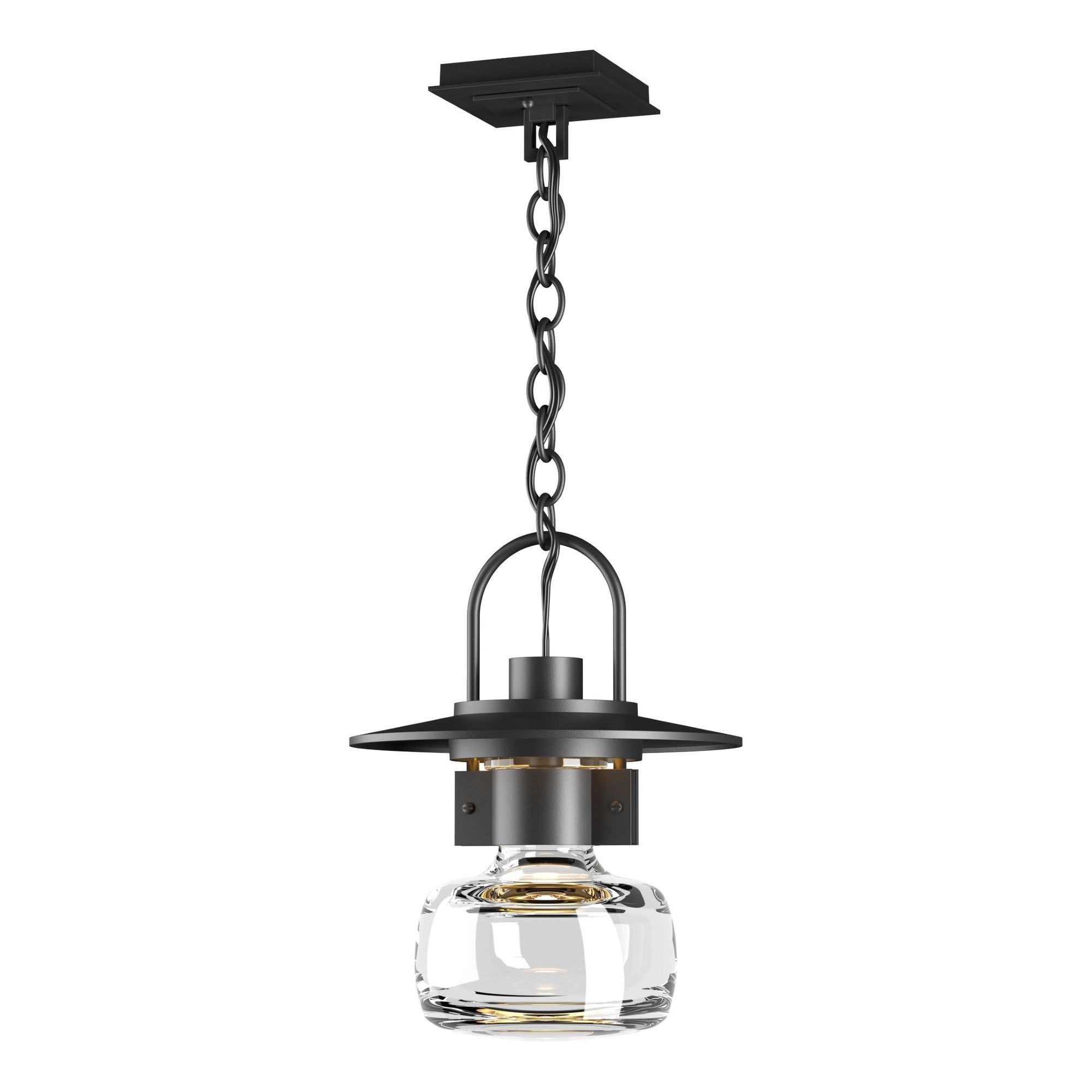 Mason Large Outdoor Ceiling Fixture 1-Light Clear Glass (ZM) in Coastal Black