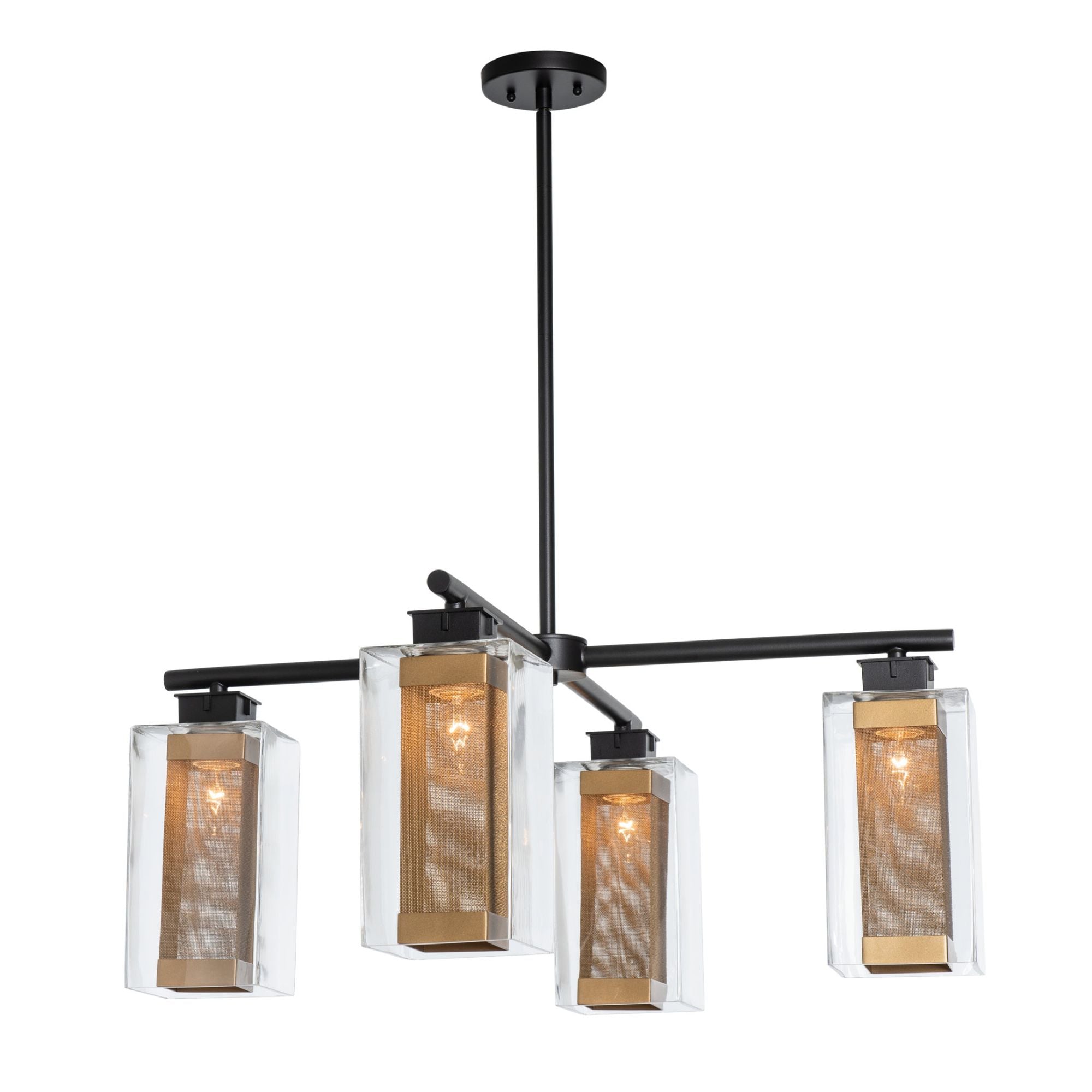 Polaris Outdoor 4-Light Pendant 4-Light Coastal Gold Accent Clear Glass (ZM) in Coastal Black
