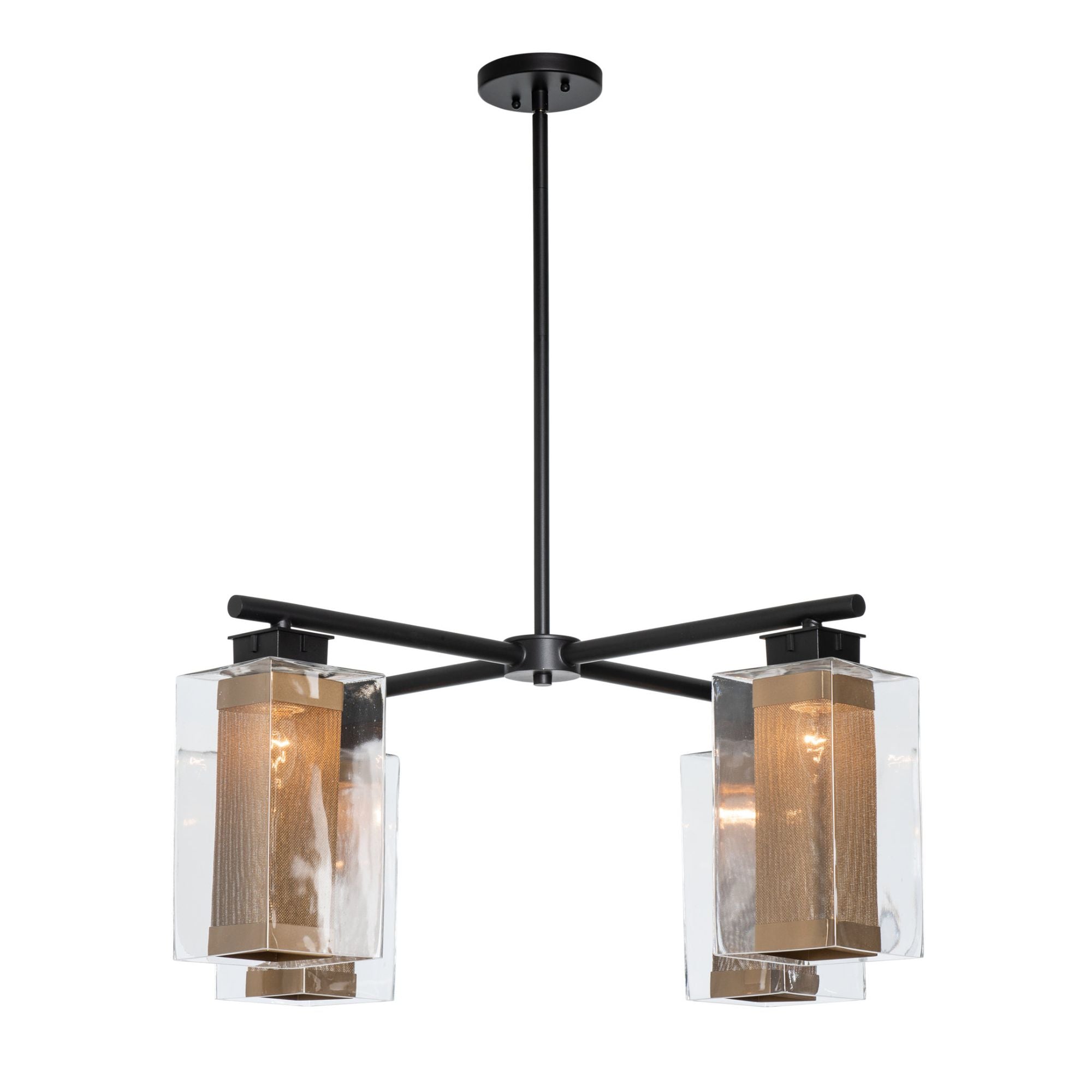Polaris Outdoor 4-Light Pendant 4-Light Coastal Gold Accent Clear Glass (ZM) in Coastal Black