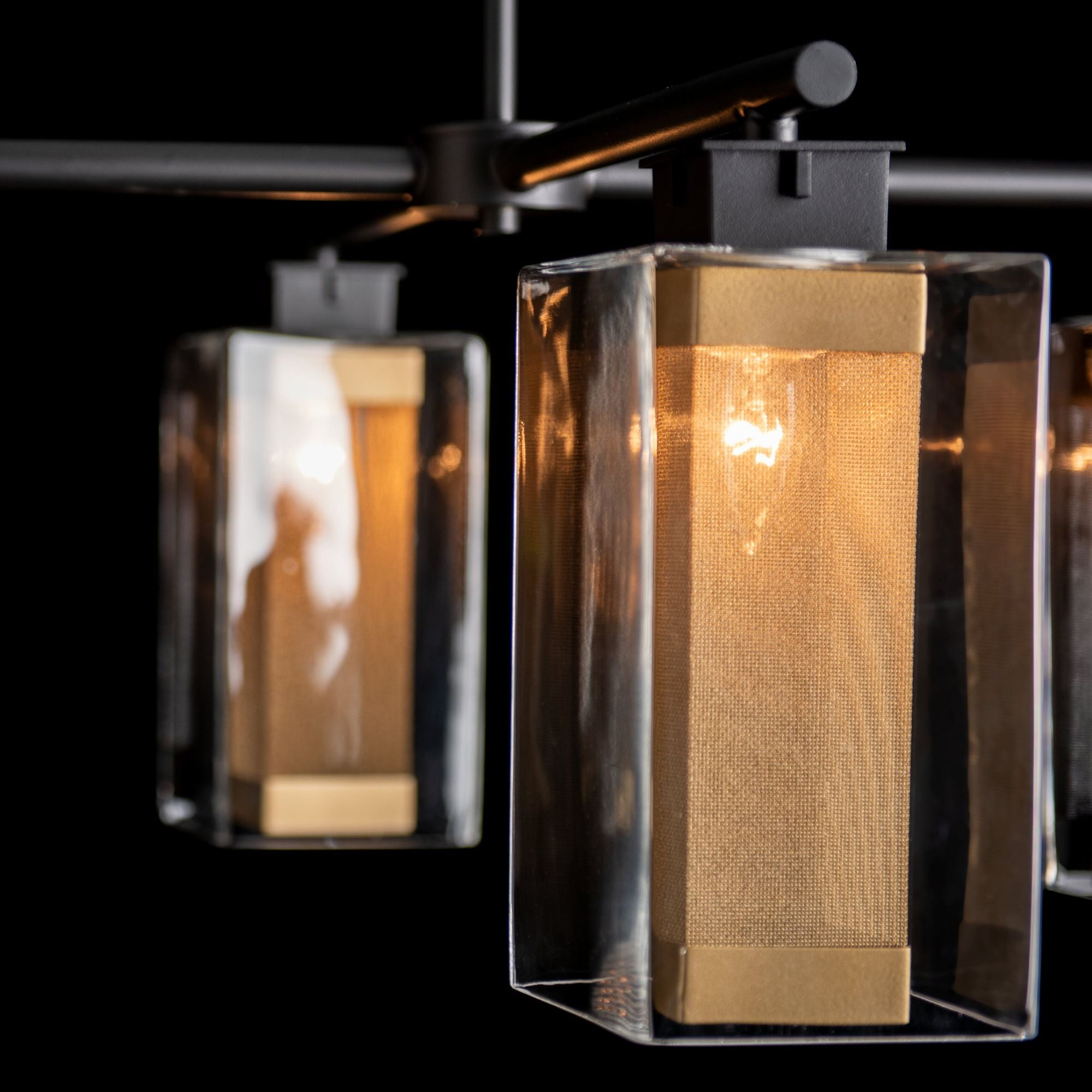 Polaris Outdoor 4-Light Pendant 4-Light Coastal Gold Accent Clear Glass (ZM) in Coastal Black