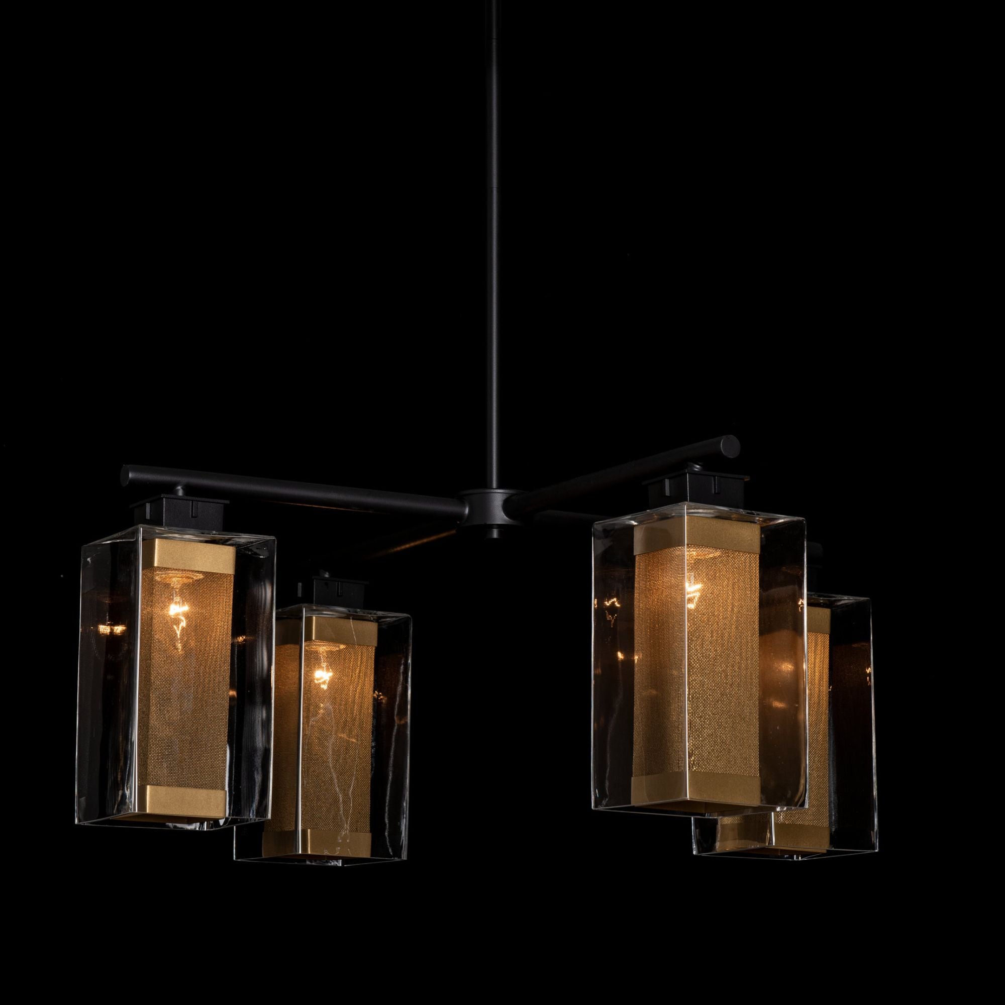 Polaris Outdoor 4-Light Pendant 4-Light Coastal Gold Accent Clear Glass (ZM) in Coastal Black