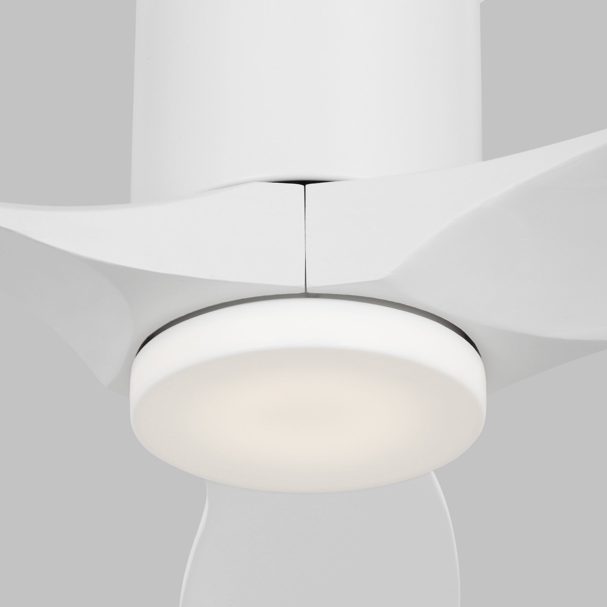 Collins 52" LED Ceiling Fan  in Matte White  w/ Matte White Blade D:52'' H:10 5/16''