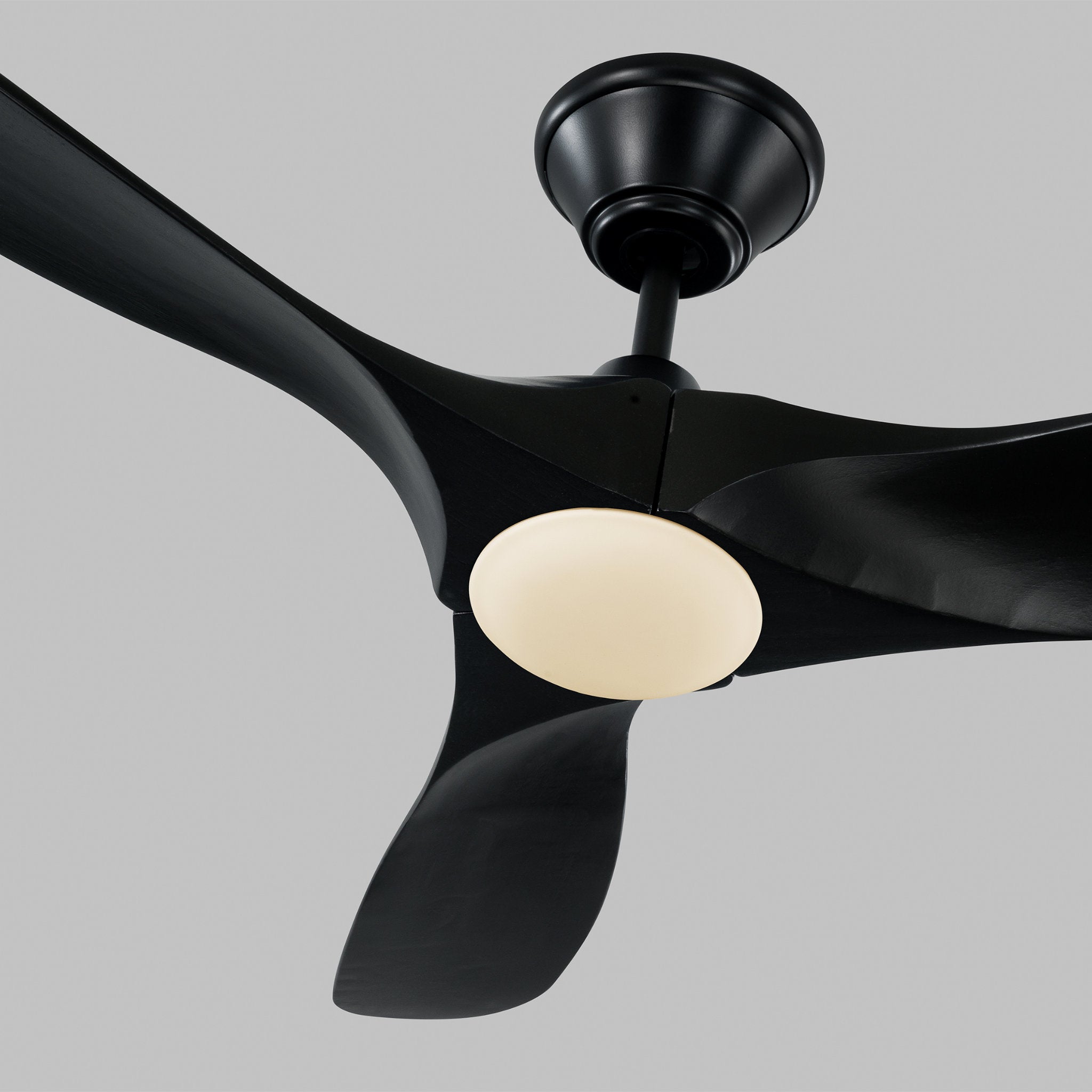 Maverick 52" LED Ceiling Fan  in Matte Black  w/ Matte Black Blade D:52'' H:13 13/16''