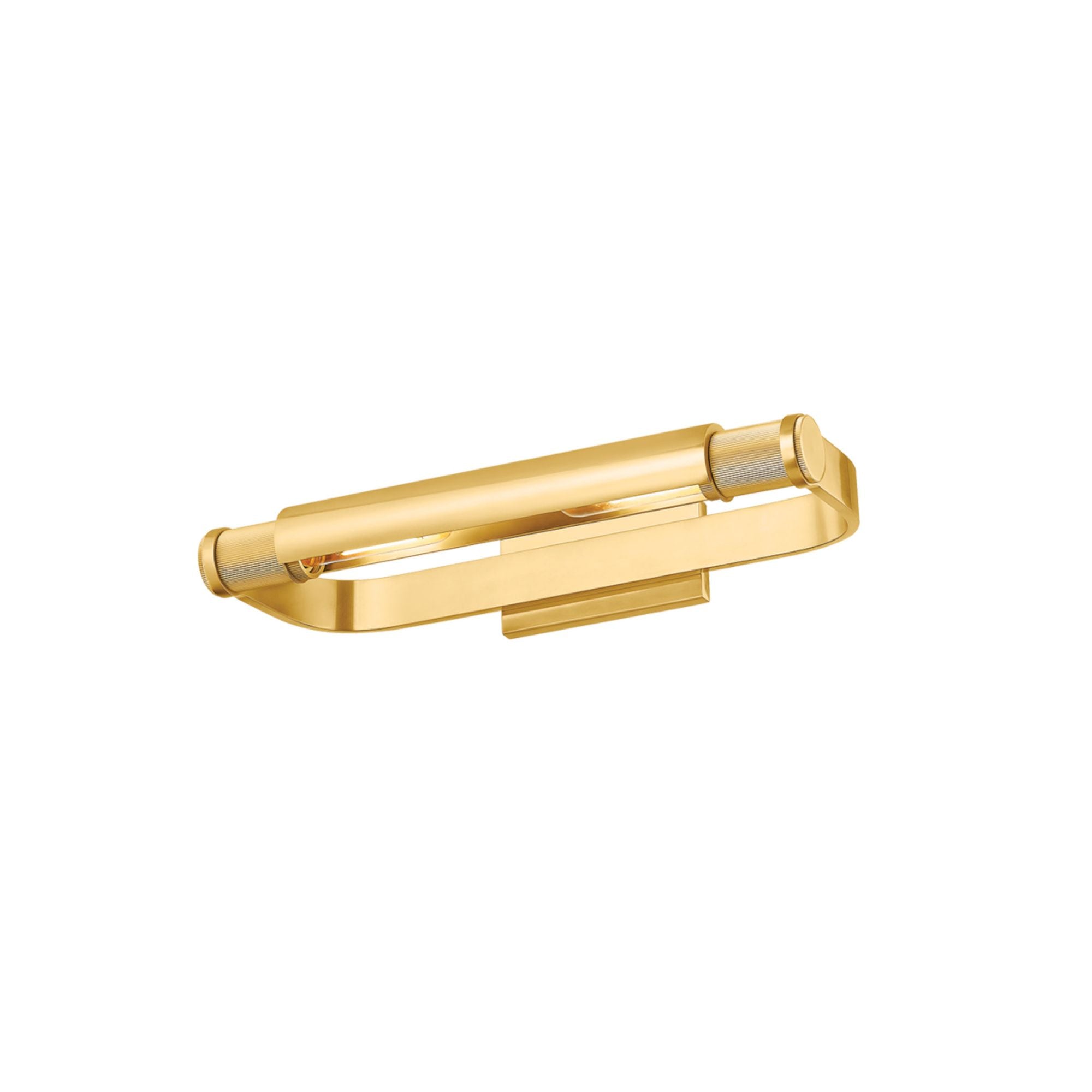 Elm Park 2-Light Picture Light in Aged Brass 18W x 3H (6418-AGB)