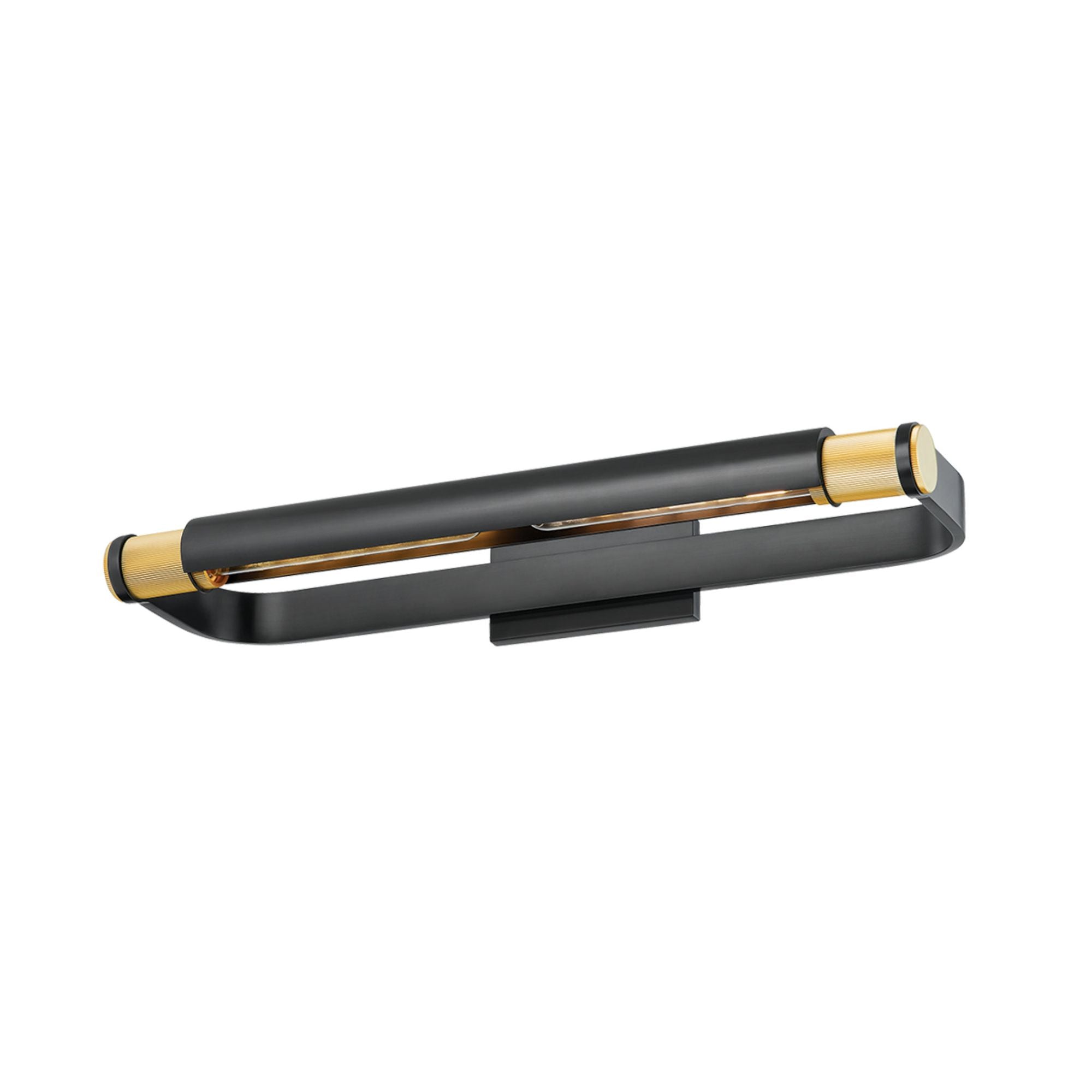 Elm Park 2-Light Picture Light in Aged Brass 24W x 3H (6424-AGB/DB)