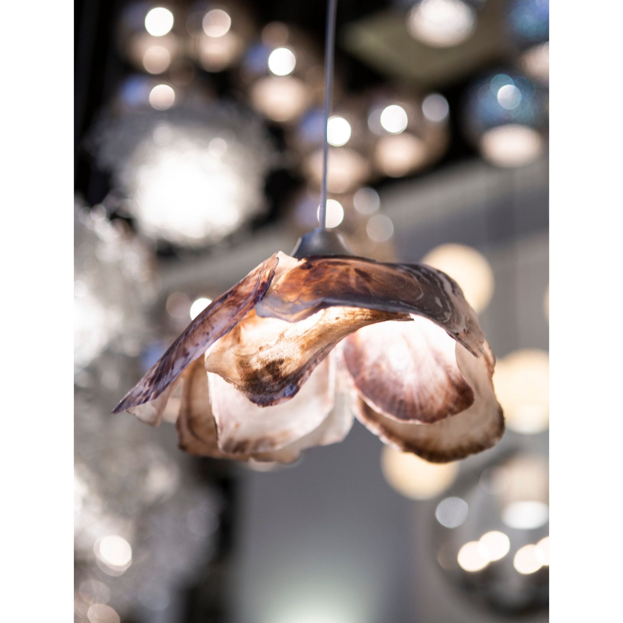 Catrice 1-Light Round Multi-Drop Pendant - Painted Silver/Contemporary Silver Leaf/Natural Shell