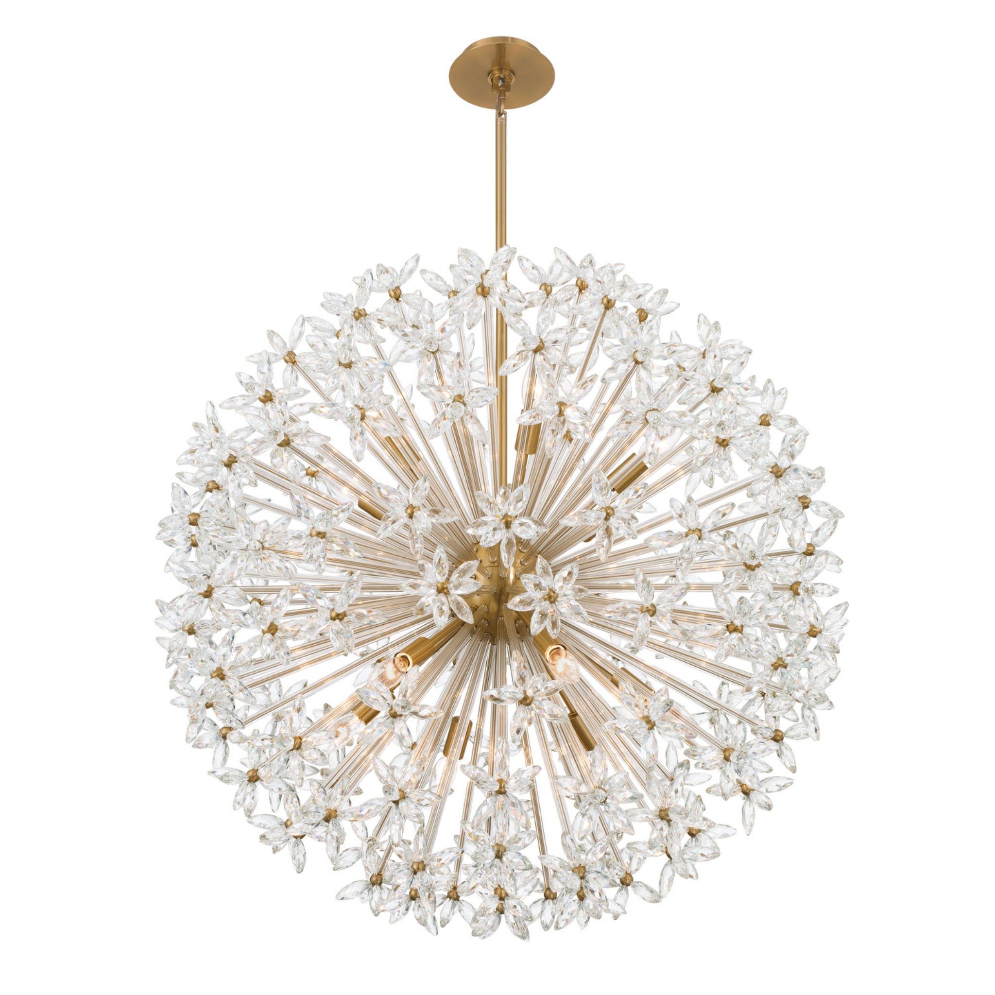 Adley 34'' Aged Brass Chandelier Gold 34"W x 33.75"H x 34"D