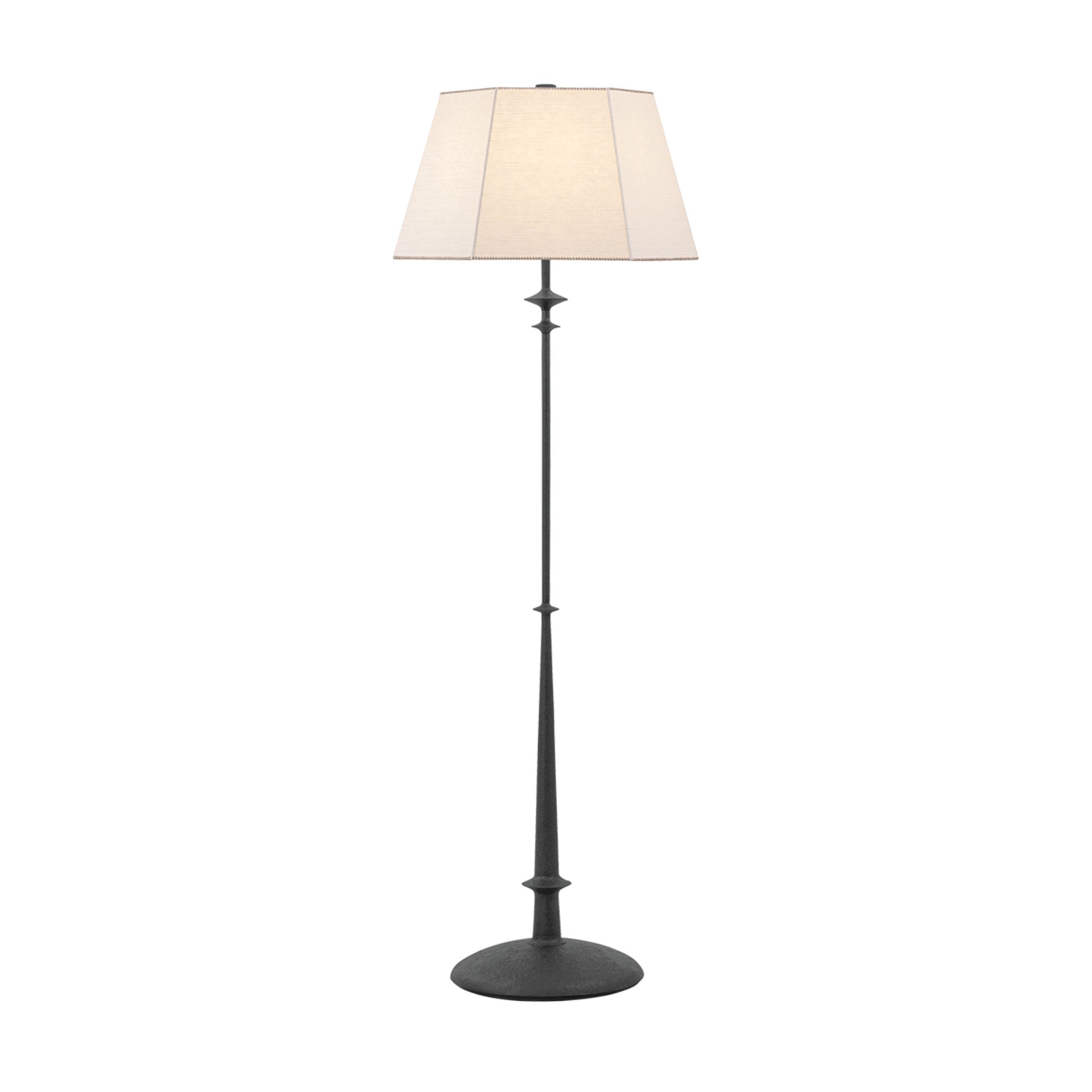 Celmins 1-Light Floor Lamp in Black Iron by Augusta Hoffman 22W x 64H