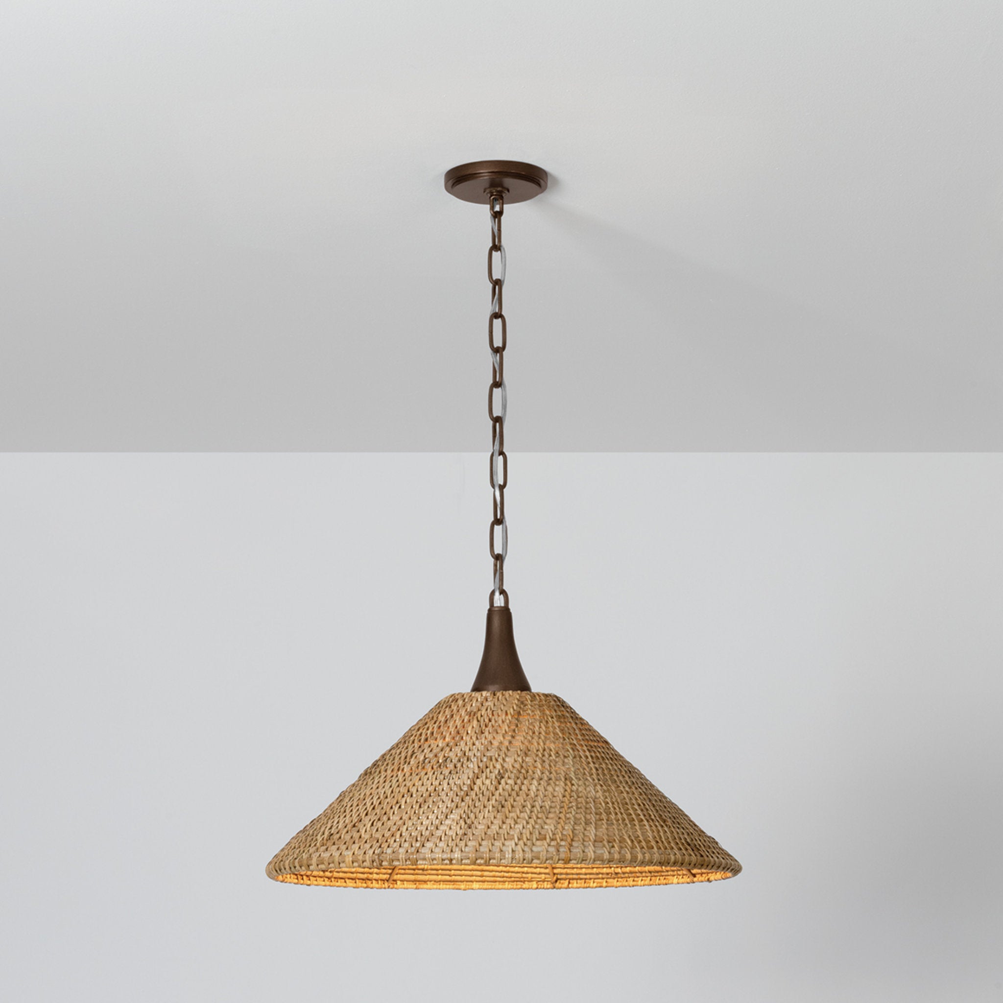 Kenzo 1-Light Pendant in Bronze Leaf 21W x 13H
