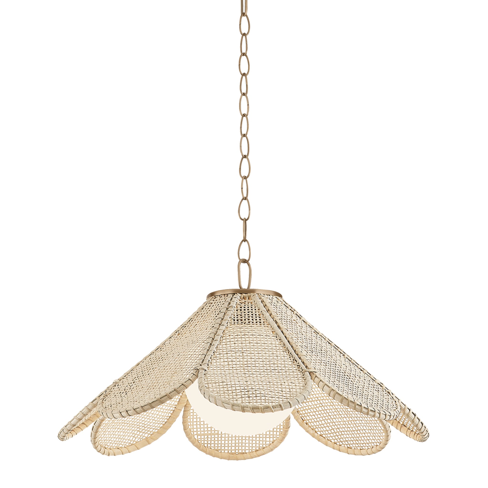 Petal 1-Light Pendant in Patina Brass by Lauren Liess 24W x 12.5H