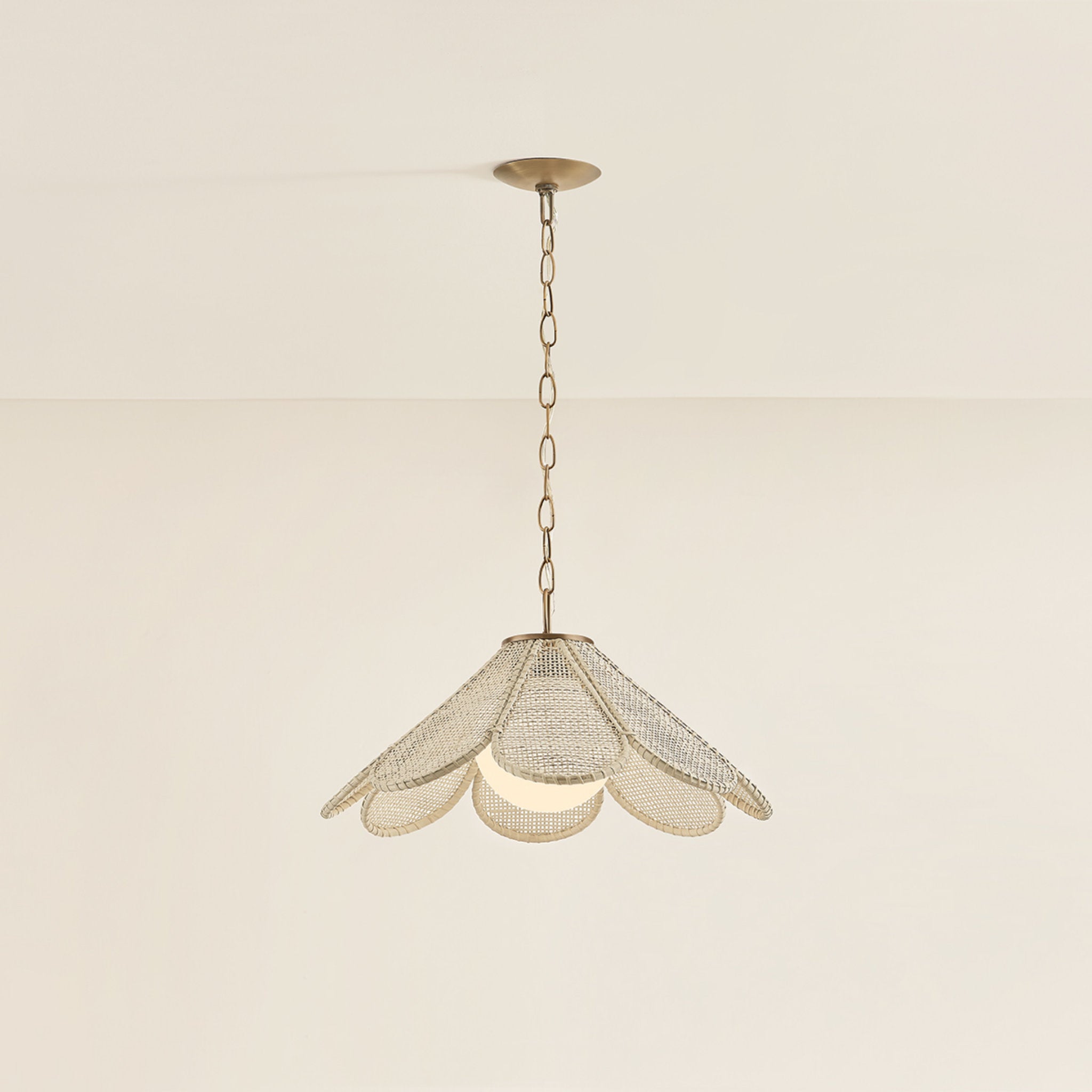 Petal 1-Light Pendant in Patina Brass by Lauren Liess 24W x 12.5H