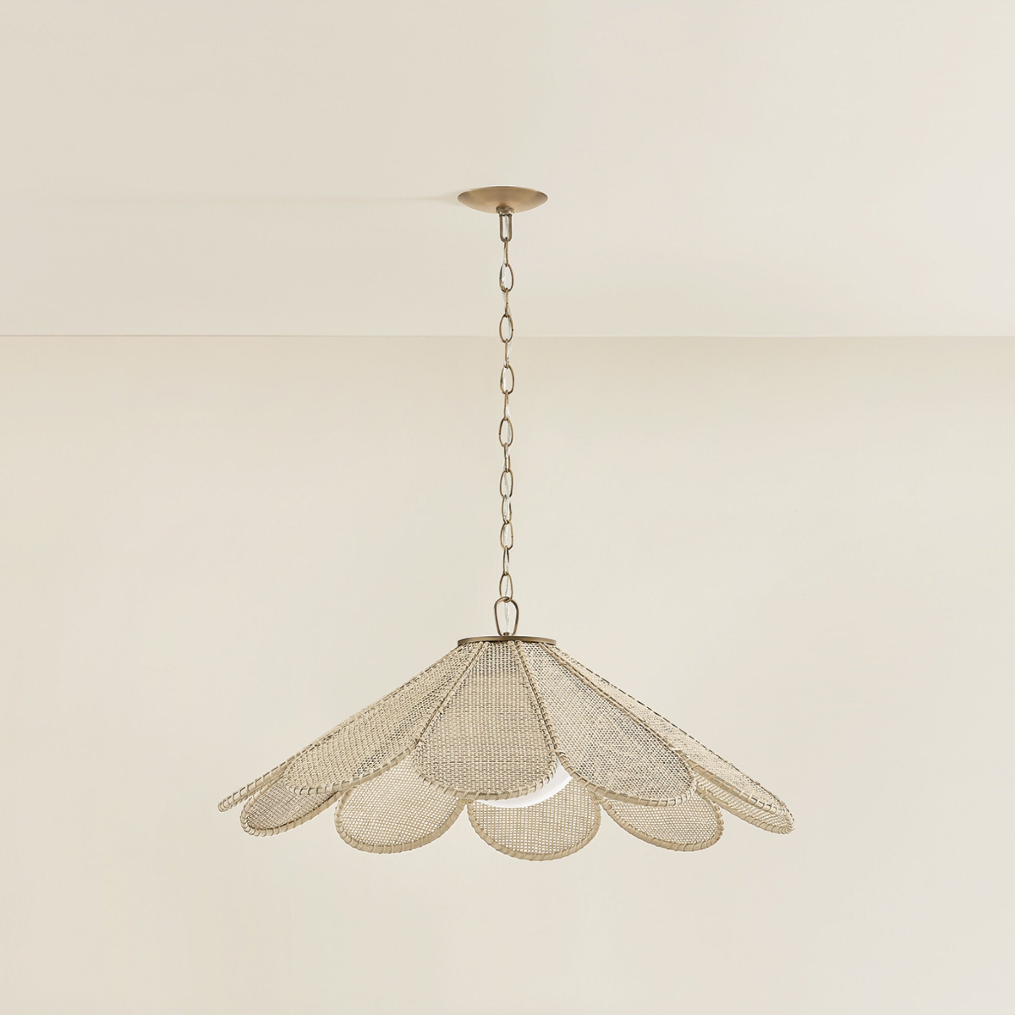 Petal 1-Light Pendant in Patina Brass by Lauren Liess 36.25W x 15.25H