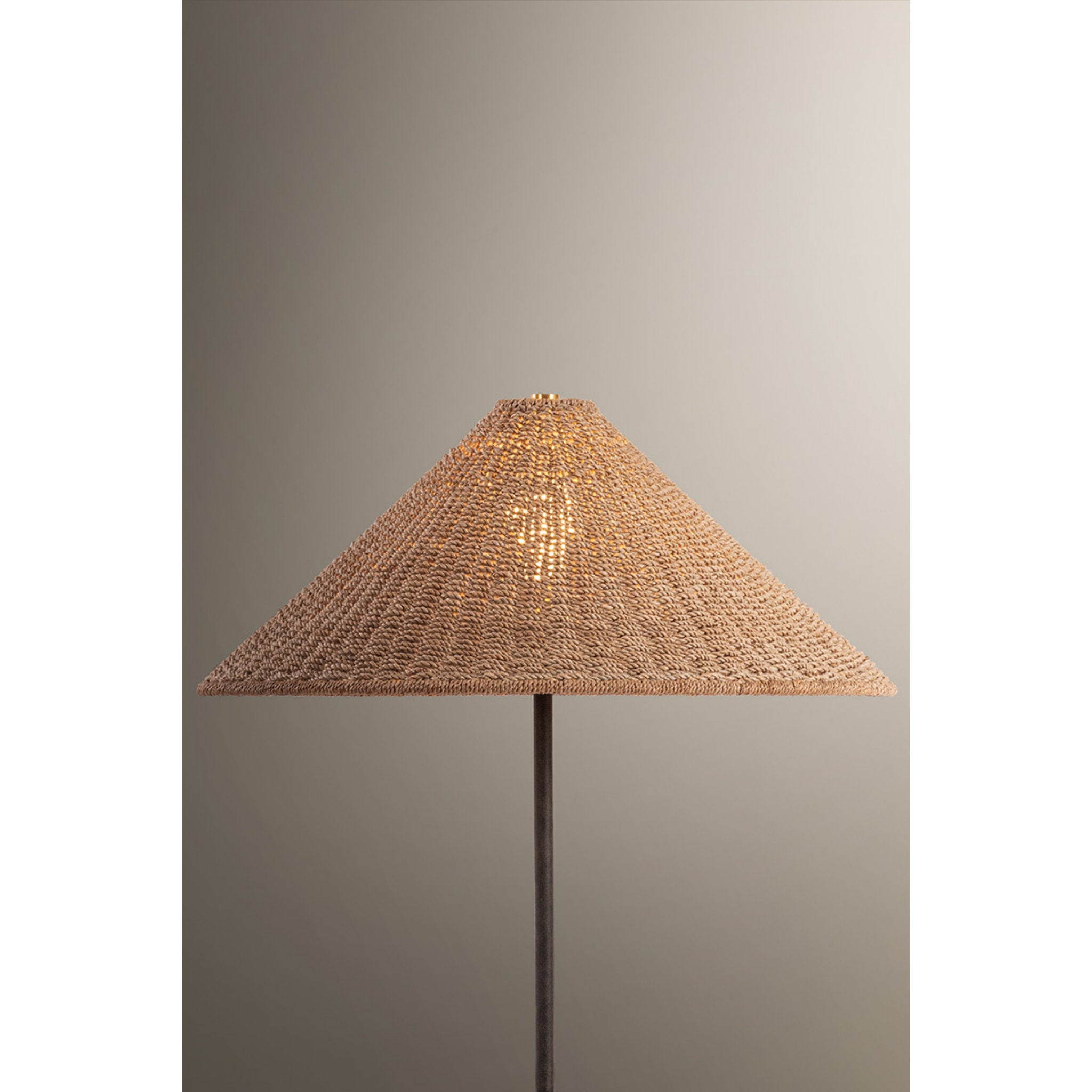 Francisco 1-Light Floor Lamp in French Iron 23.5W x 64H