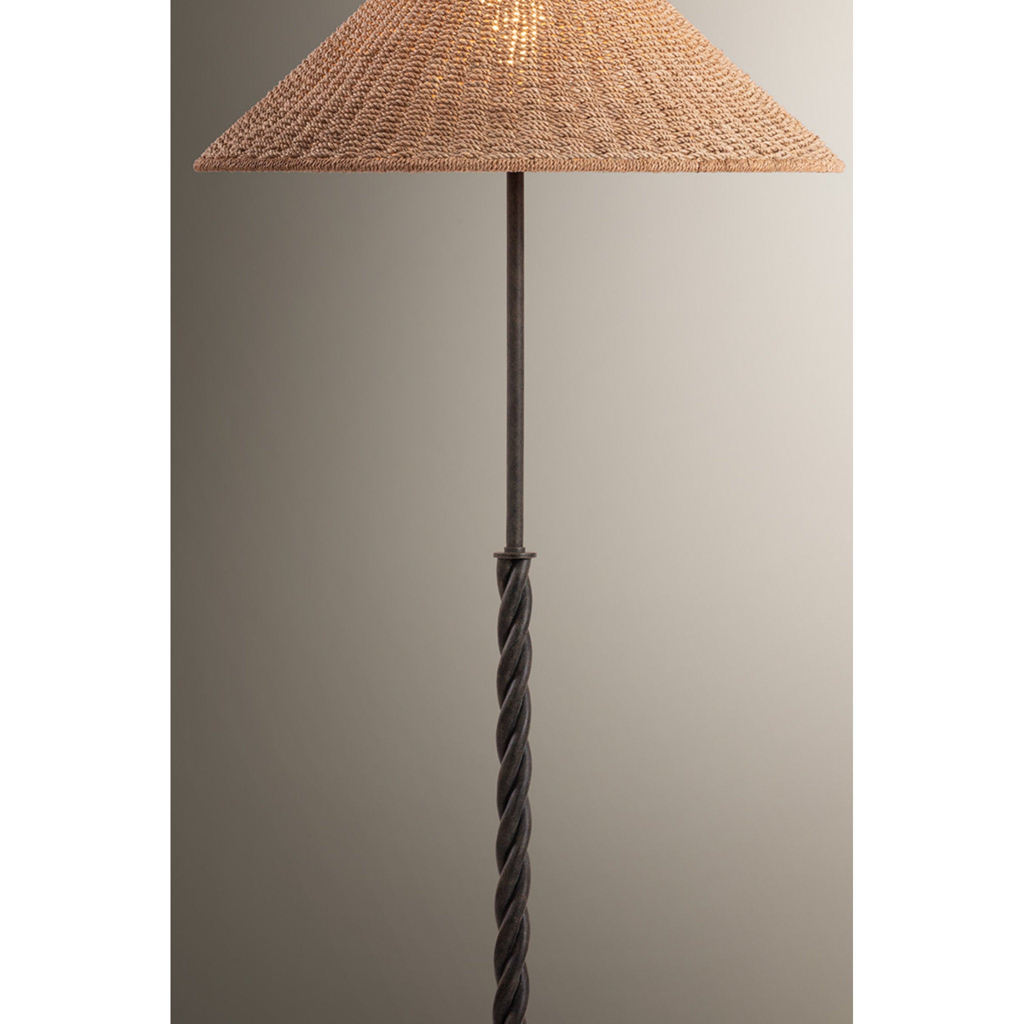 Francisco 1-Light Floor Lamp in French Iron 23.5W x 64H