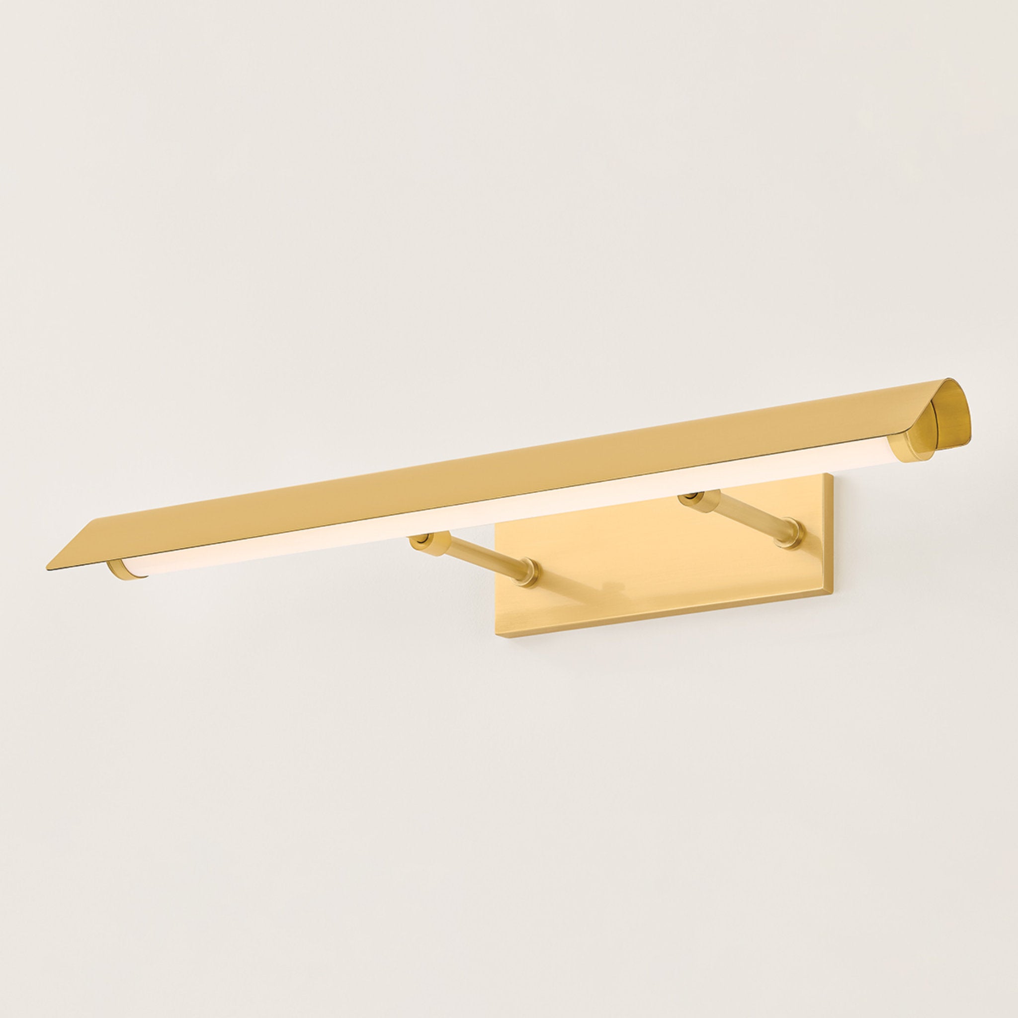Regan 2-Light Picture Light in Aged Brass 24.5W x 3H