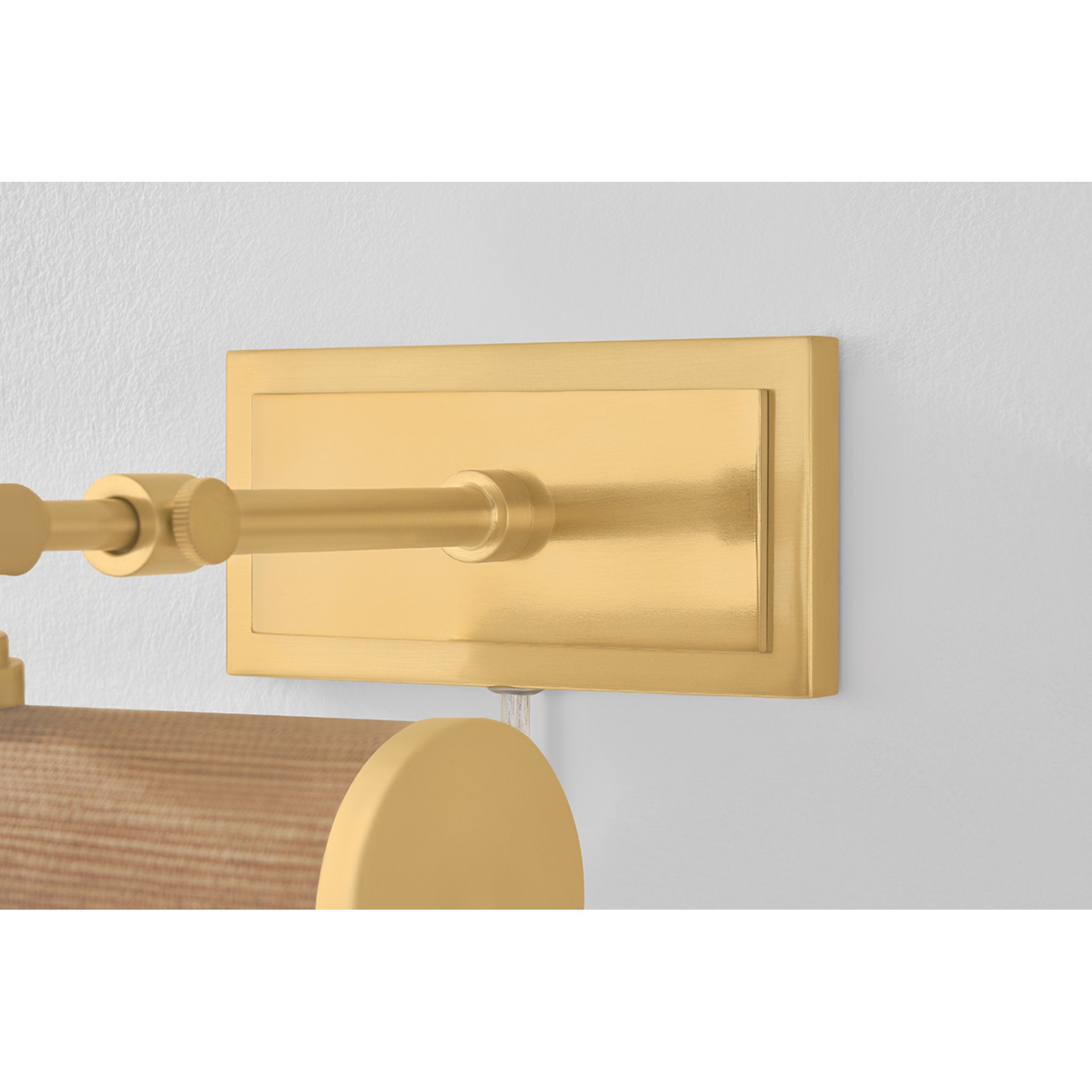 Holly 1-Light Picture Light in Aged Brass 8.25W x 4.75H (HL263201-AGB/GC)