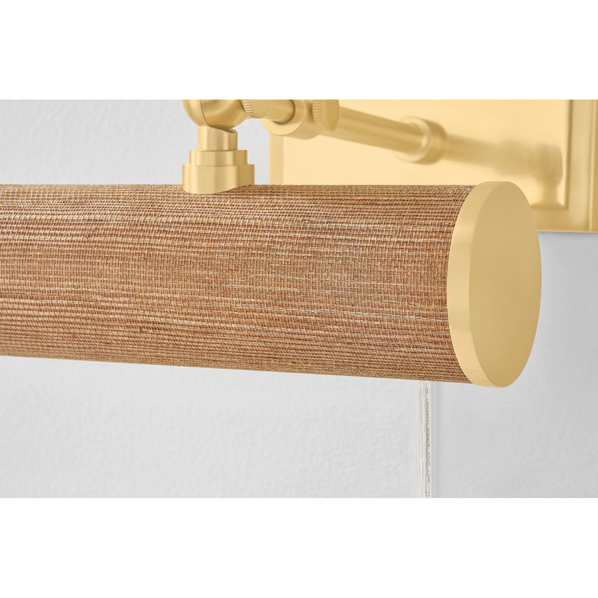 Holly 1-Light Picture Light in Aged Brass 8.25W x 4.75H (HL263201-AGB/GC)