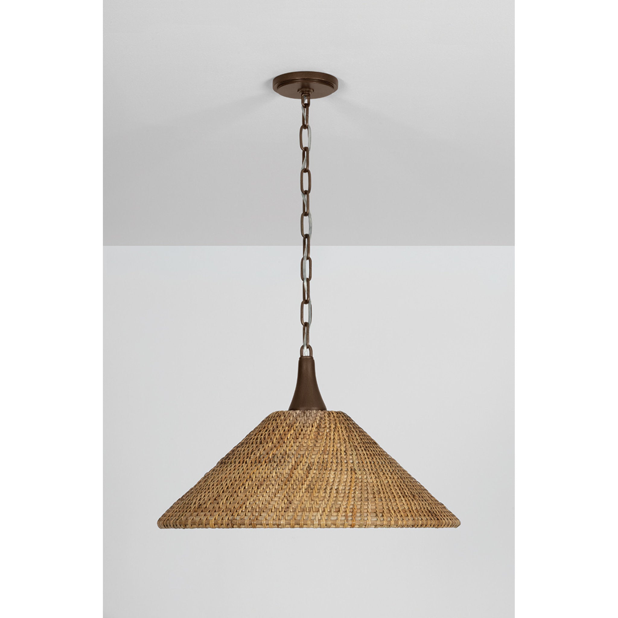Kenzo 1-Light Pendant in Bronze Leaf 21W x 13H