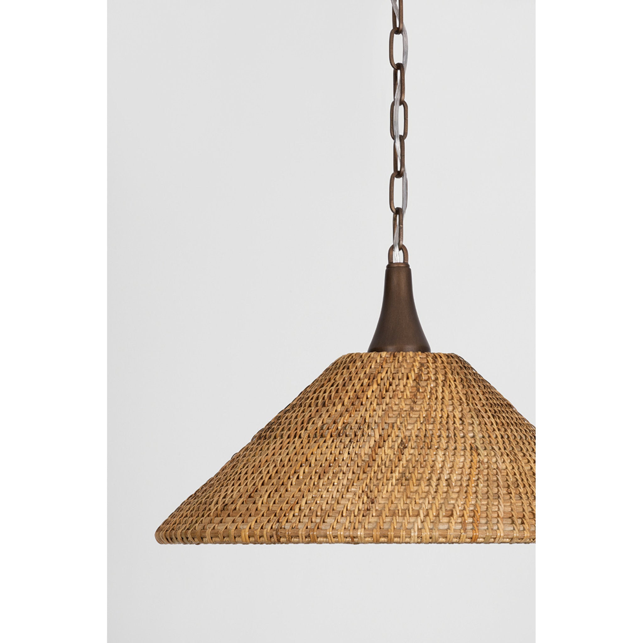 Kenzo 1-Light Pendant in Bronze Leaf 21W x 13H