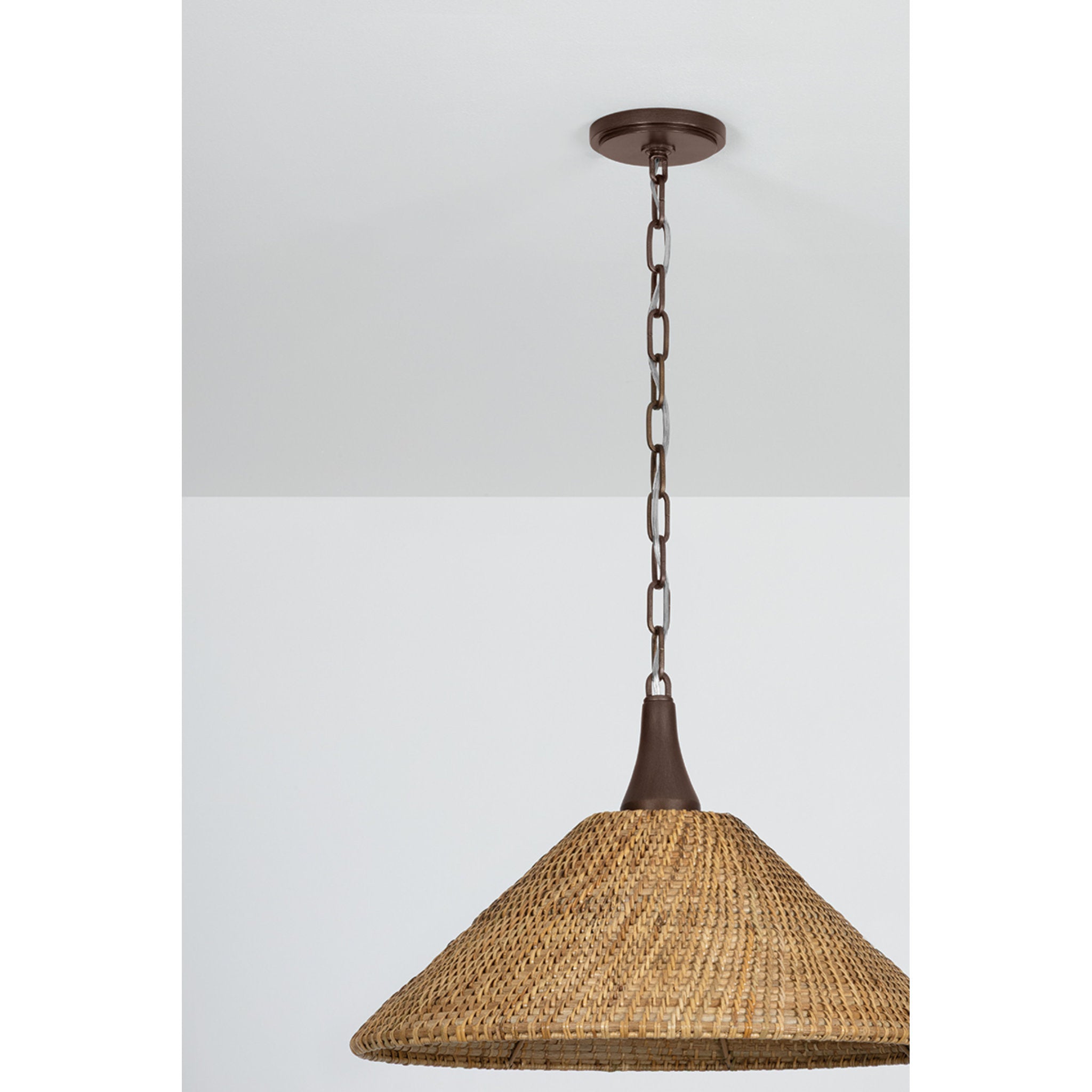 Kenzo 1-Light Pendant in Bronze Leaf 21W x 13H