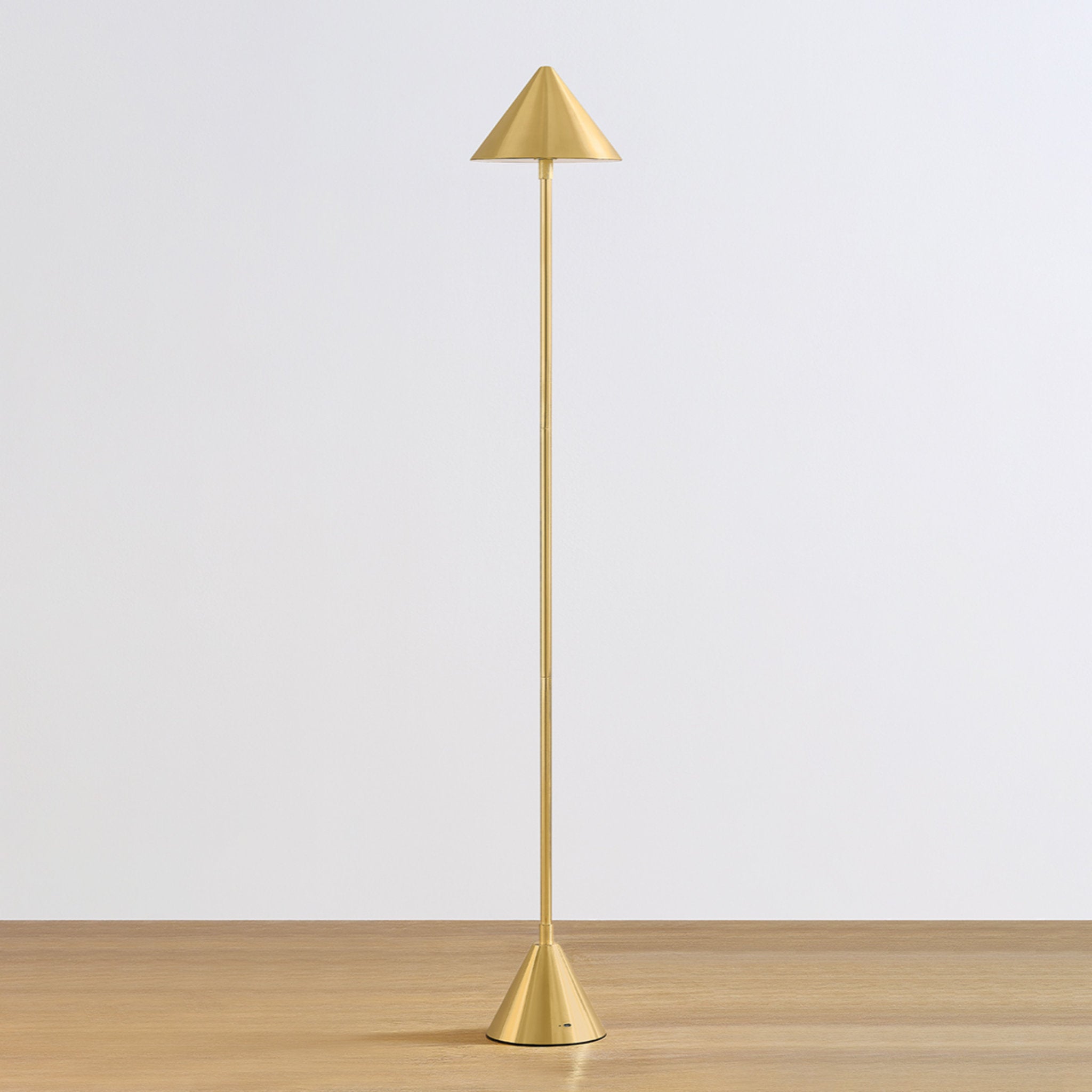 Salma 1-Light Rechargeable Floor Lamp in Aged Brass 7.75W x 49H