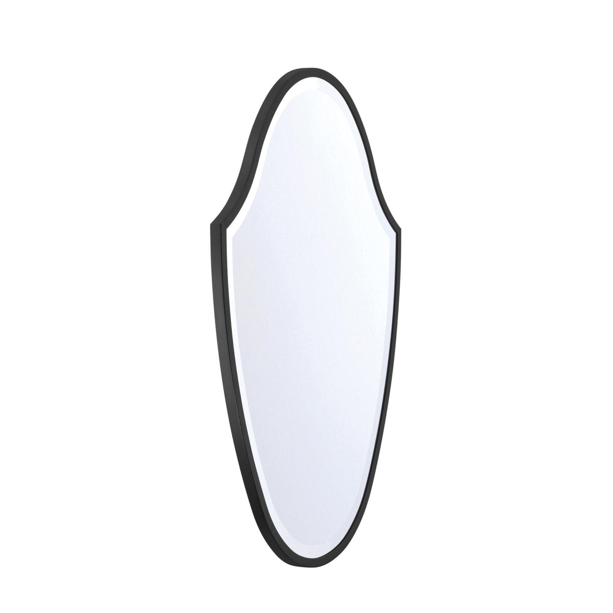 Lindee 28'' Matte Black Mirror Black 28"W x 40"H x 1"D