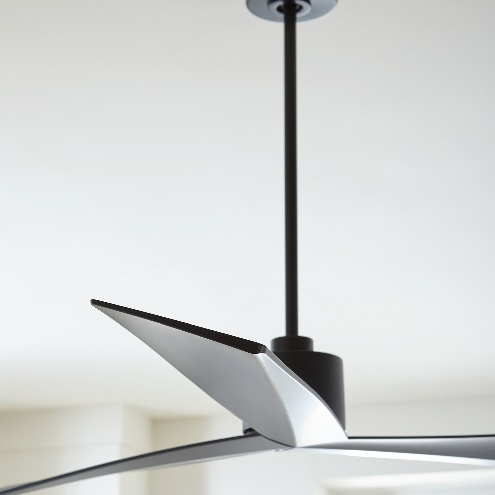 Sean Lavin Adler 60" Ceiling Fan  in Matte Black  w/ Matte Black Blade D:60'' H:12 1/2''