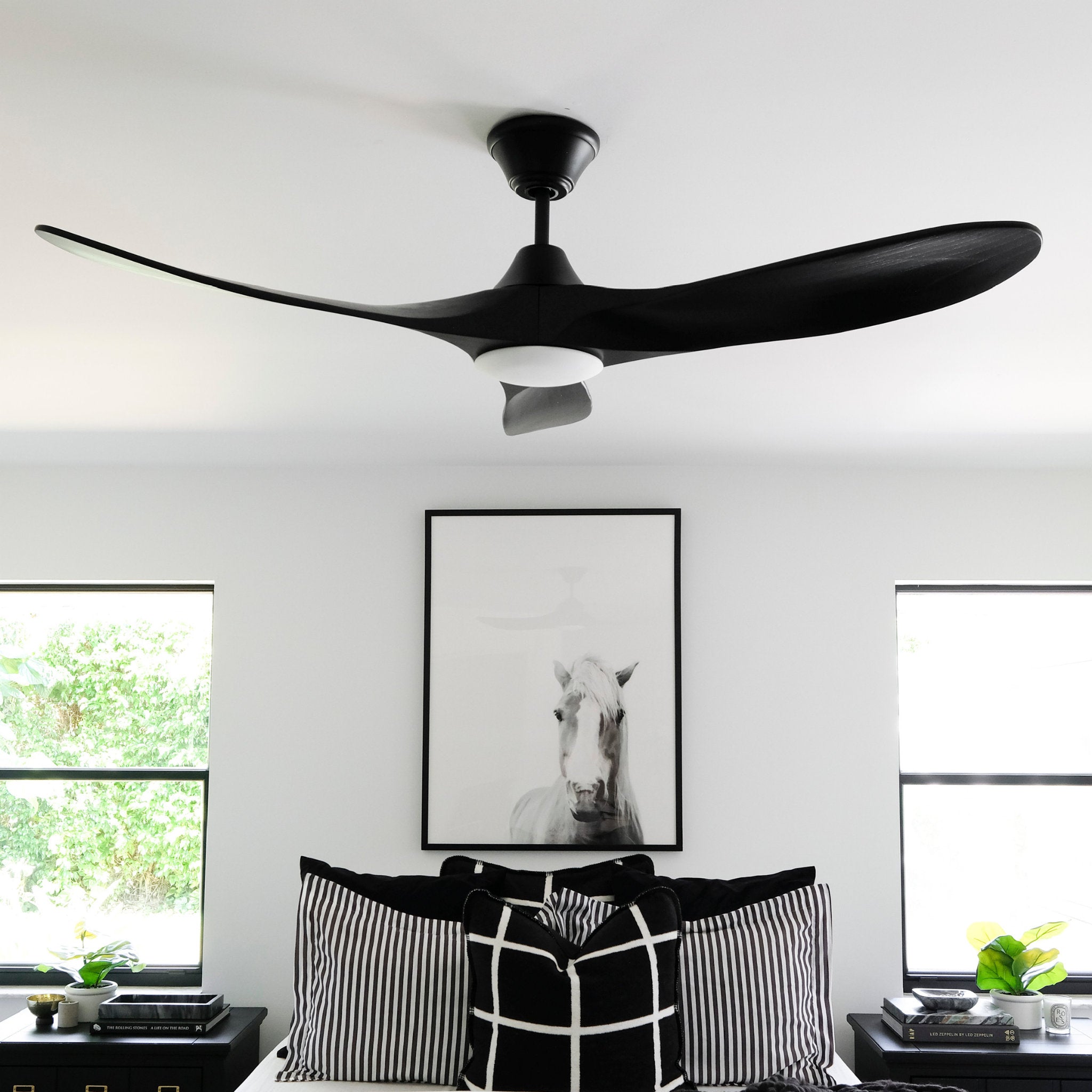Maverick 52" LED Ceiling Fan  in Matte Black  w/ Matte Black Blade D:52'' H:13 13/16''