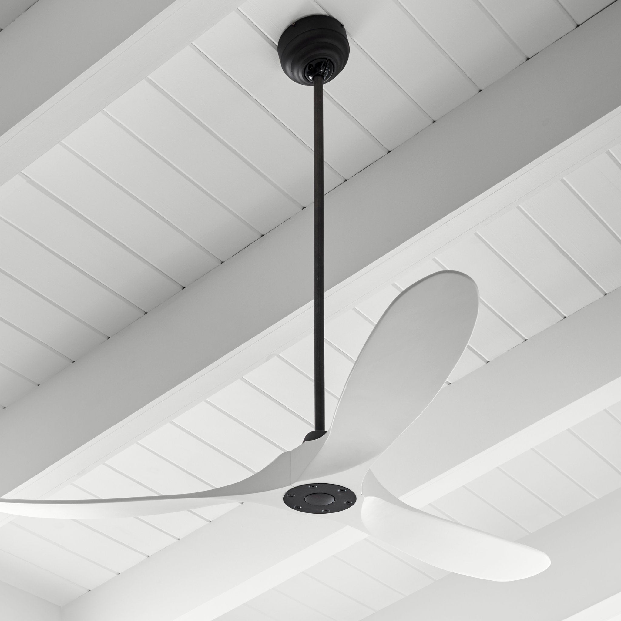 Maverick 60" LED Ceiling Fan  in Matte White  w/ Matte White Blade D:60'' H:13 13/16''